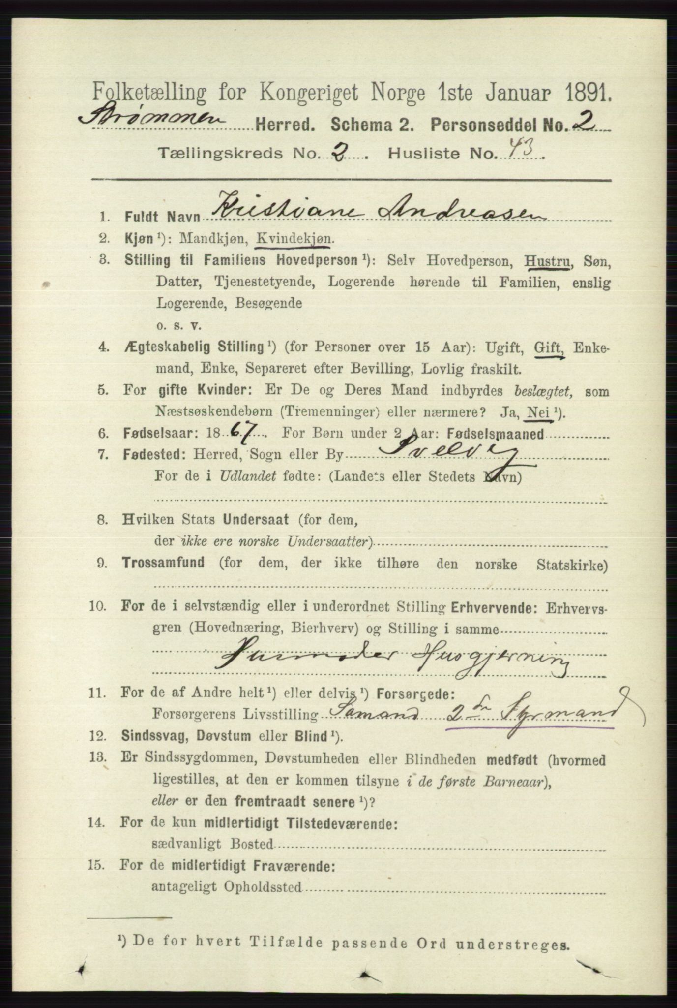 RA, 1891 census for 0711 Strømm, 1891, p. 957