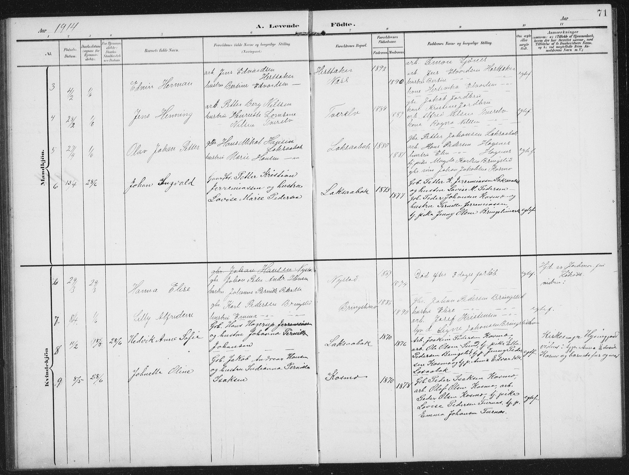 Ministerialprotokoller, klokkerbøker og fødselsregistre - Nordland, AV/SAT-A-1459/851/L0726: Parish register (copy) no. 851C01, 1902-1924, p. 71