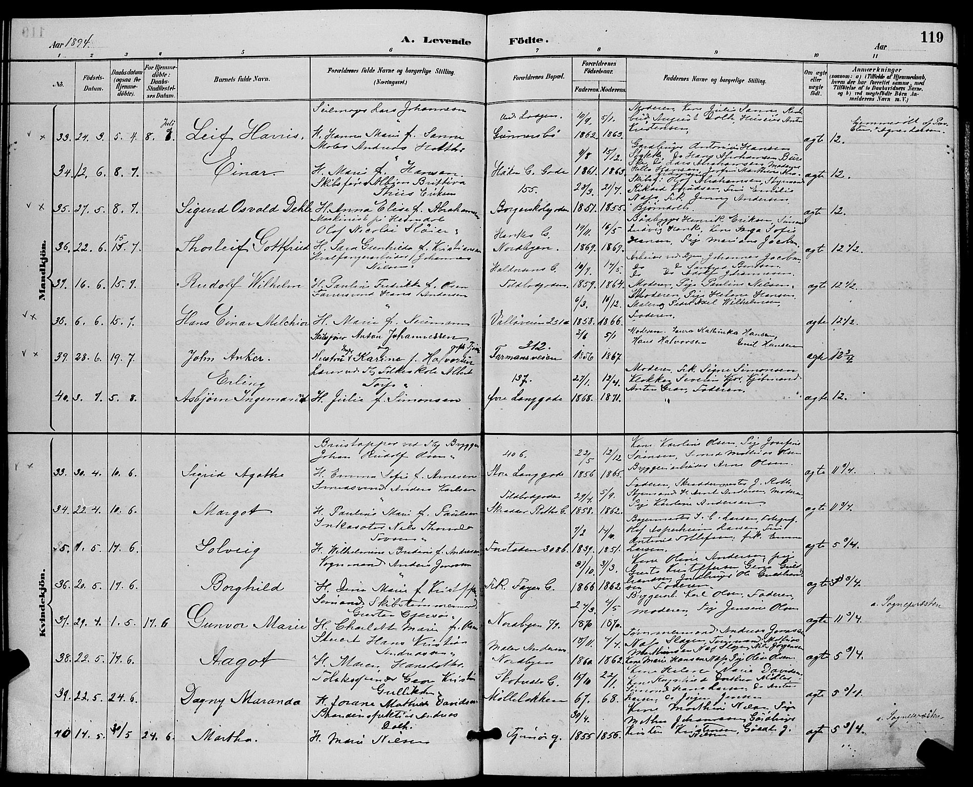 Tønsberg kirkebøker, AV/SAKO-A-330/G/Ga/L0006: Parish register (copy) no. 6, 1885-1895, p. 119