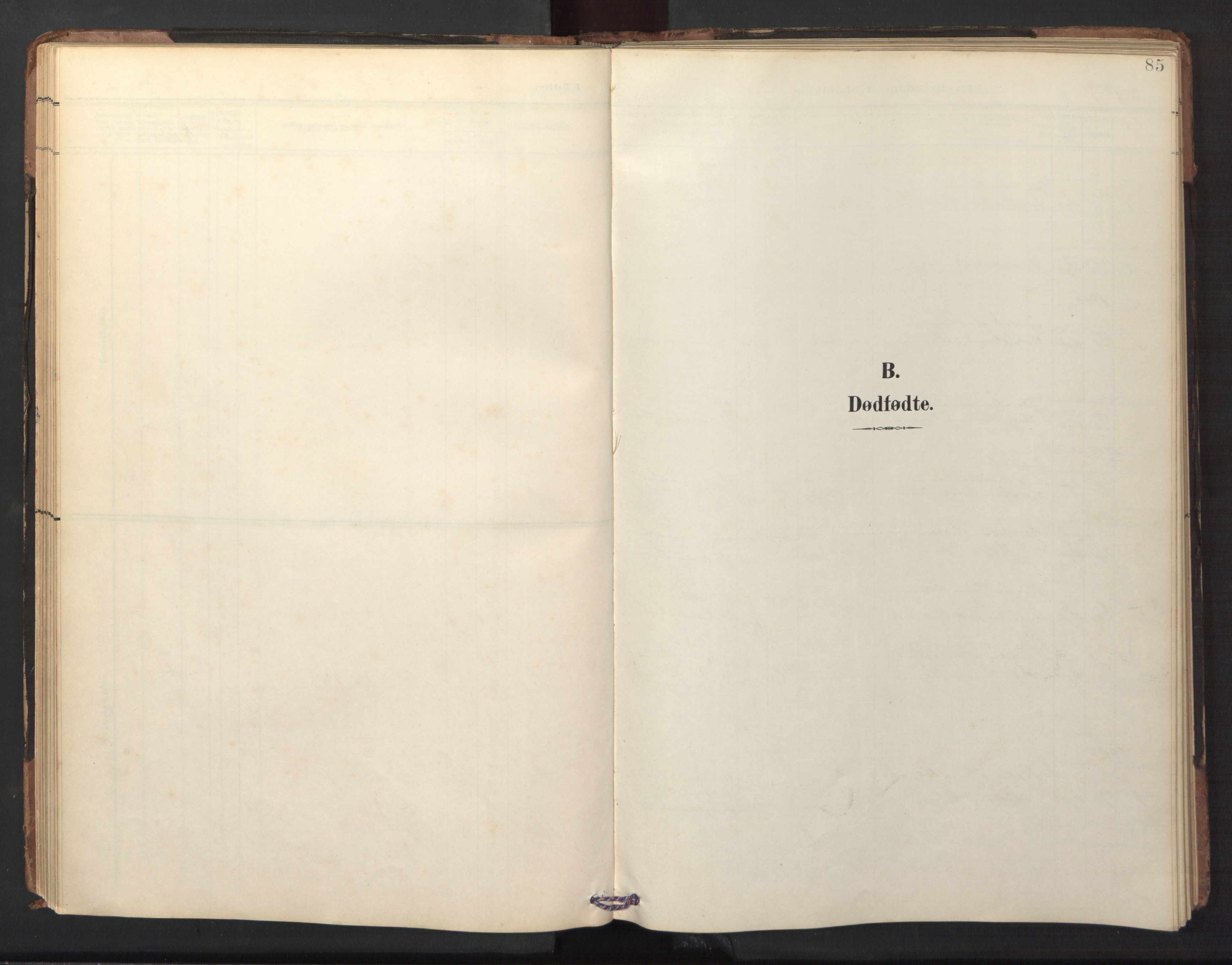 Ministerialprotokoller, klokkerbøker og fødselsregistre - Nordland, SAT/A-1459/882/L1185: Parish register (copy) no. 882C03, 1898-1910, p. 85