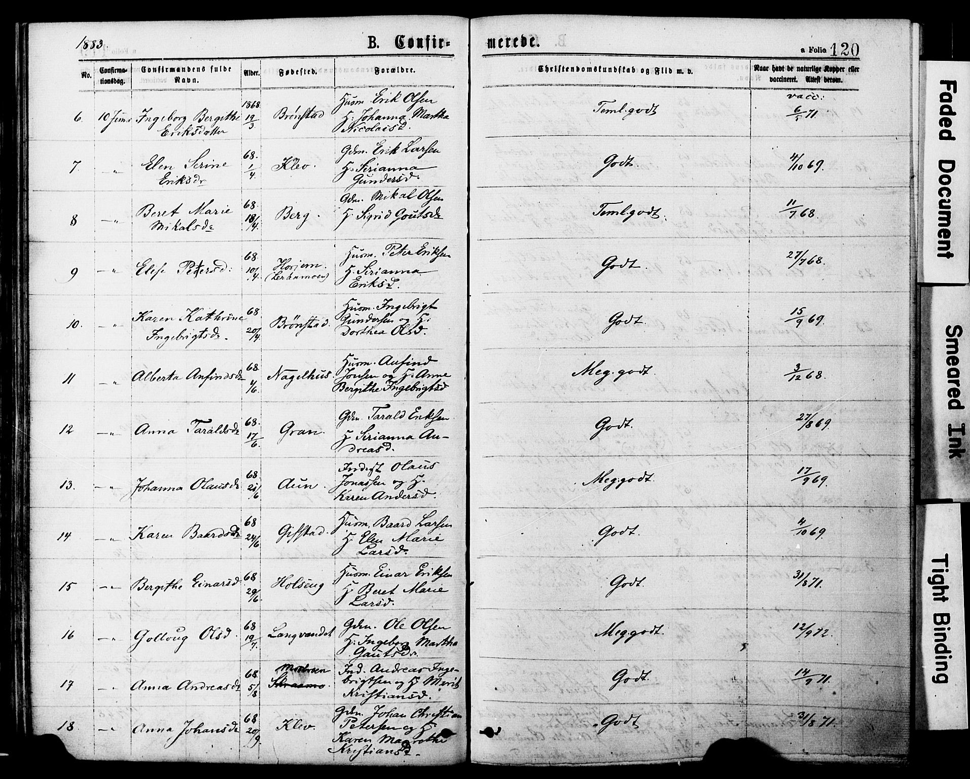 Ministerialprotokoller, klokkerbøker og fødselsregistre - Nord-Trøndelag, SAT/A-1458/749/L0473: Parish register (official) no. 749A07, 1873-1887, p. 120
