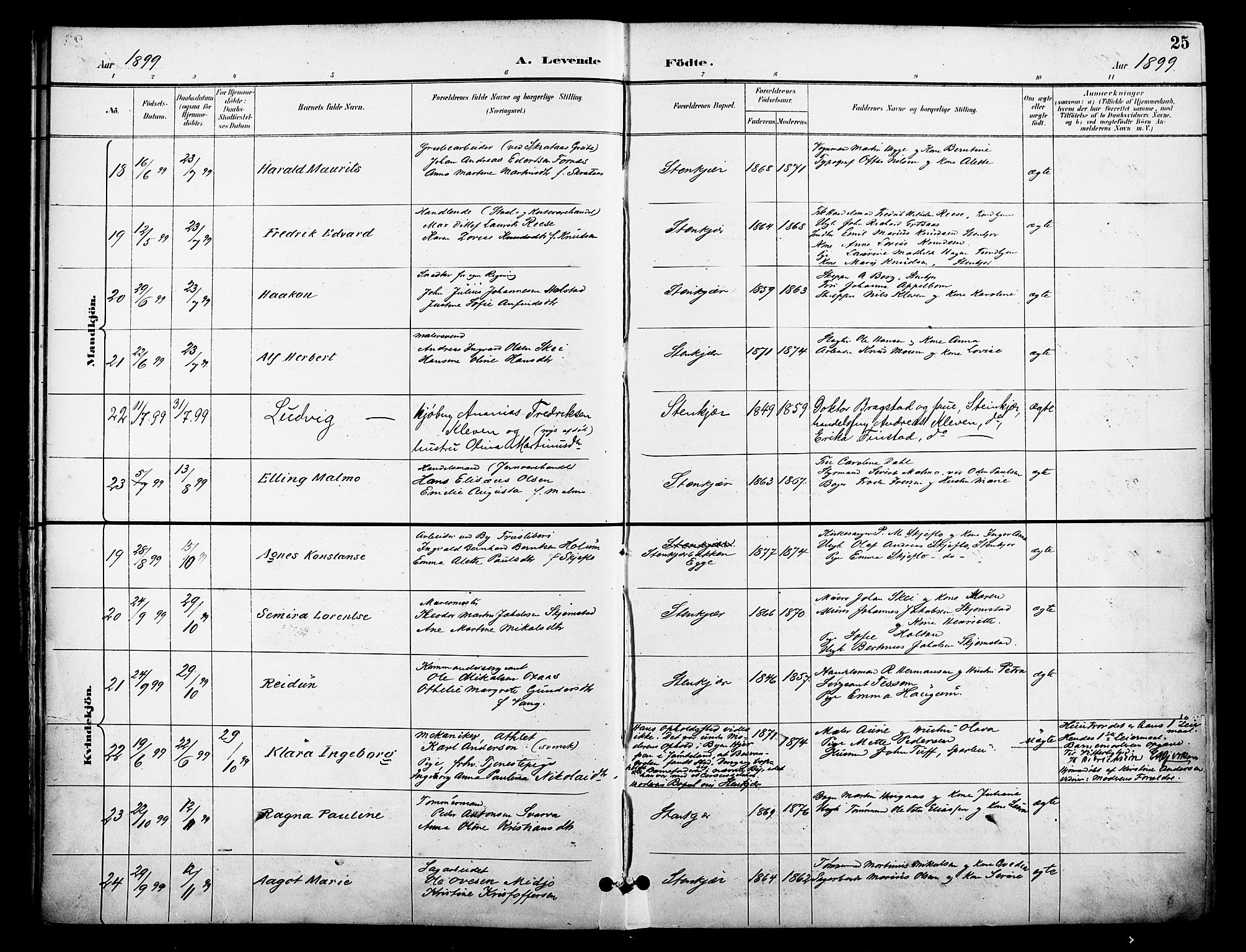 Ministerialprotokoller, klokkerbøker og fødselsregistre - Nord-Trøndelag, AV/SAT-A-1458/739/L0372: Parish register (official) no. 739A04, 1895-1903, p. 25