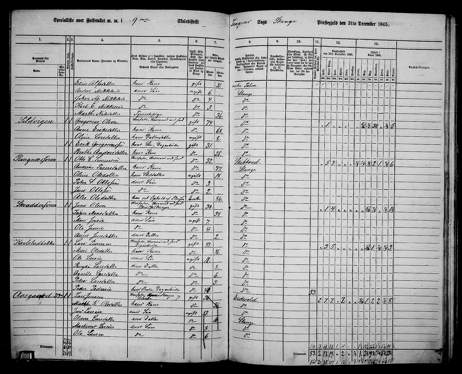 RA, 1865 census for Stange, 1865, p. 213