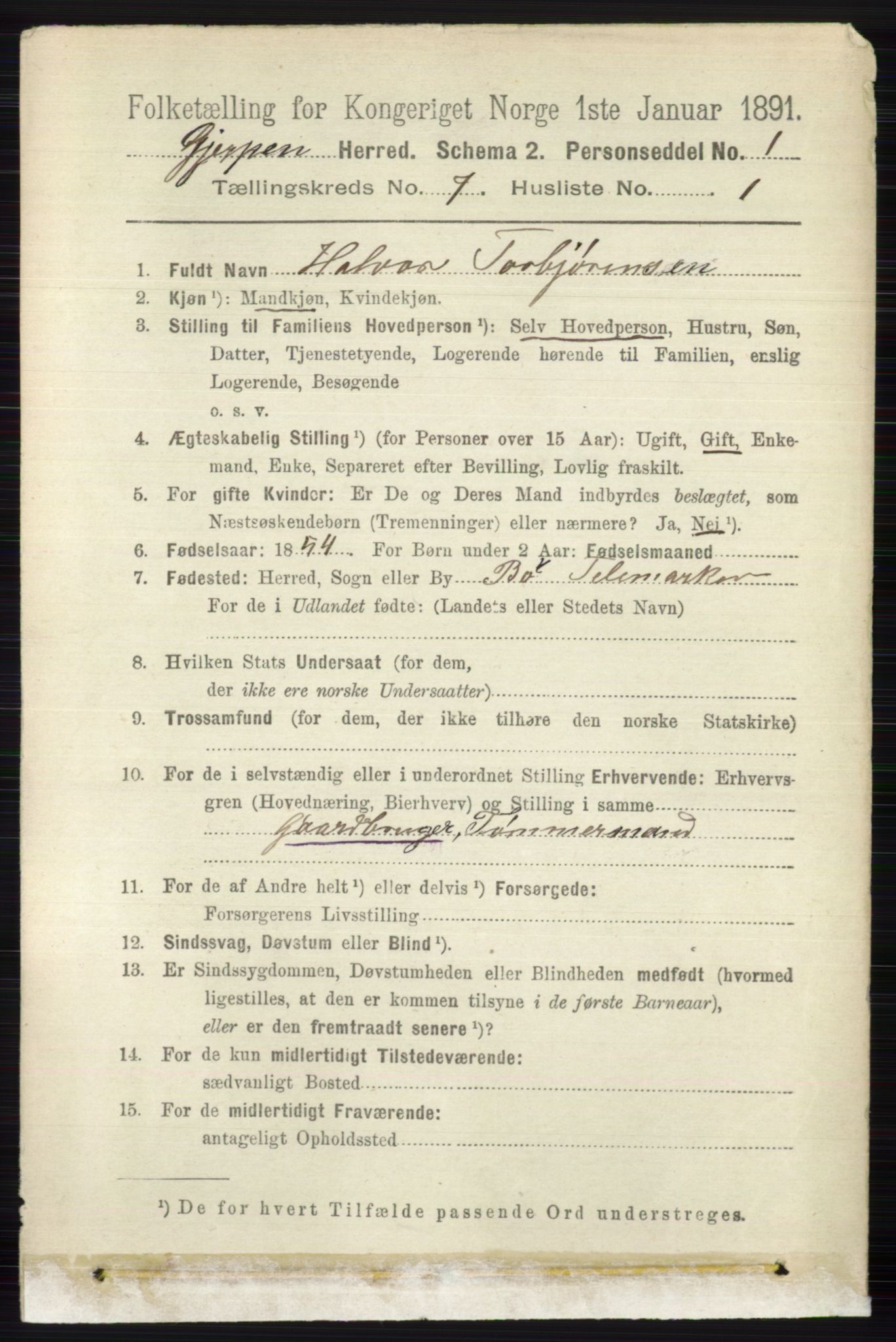 RA, 1891 census for 0812 Gjerpen, 1891, p. 3404