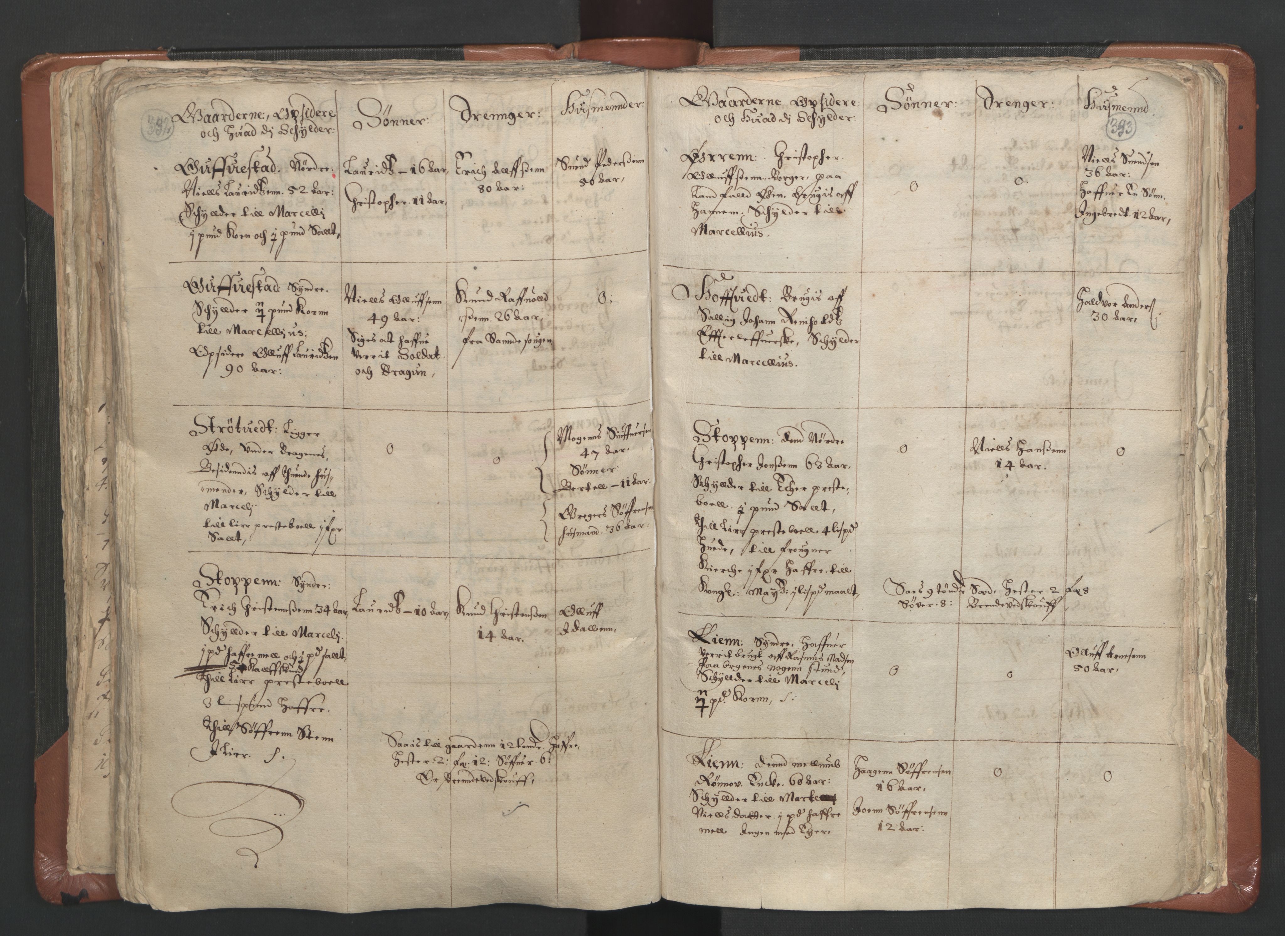 RA, Vicar's Census 1664-1666, no. 9: Bragernes deanery, 1664-1666, p. 332-333