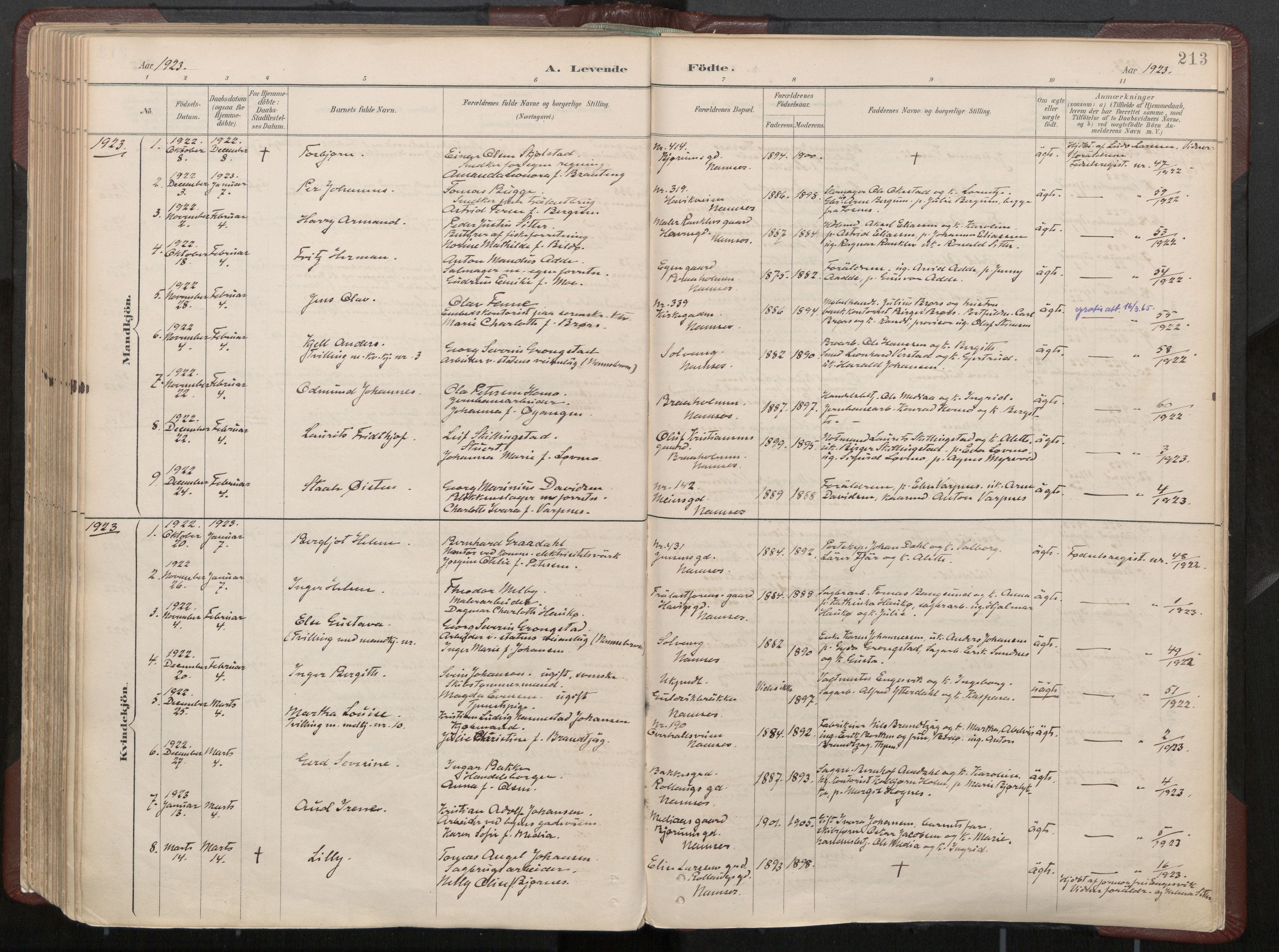 Ministerialprotokoller, klokkerbøker og fødselsregistre - Nord-Trøndelag, SAT/A-1458/768/L0574: Parish register (official) no. 768A08, 1887-1927, p. 213