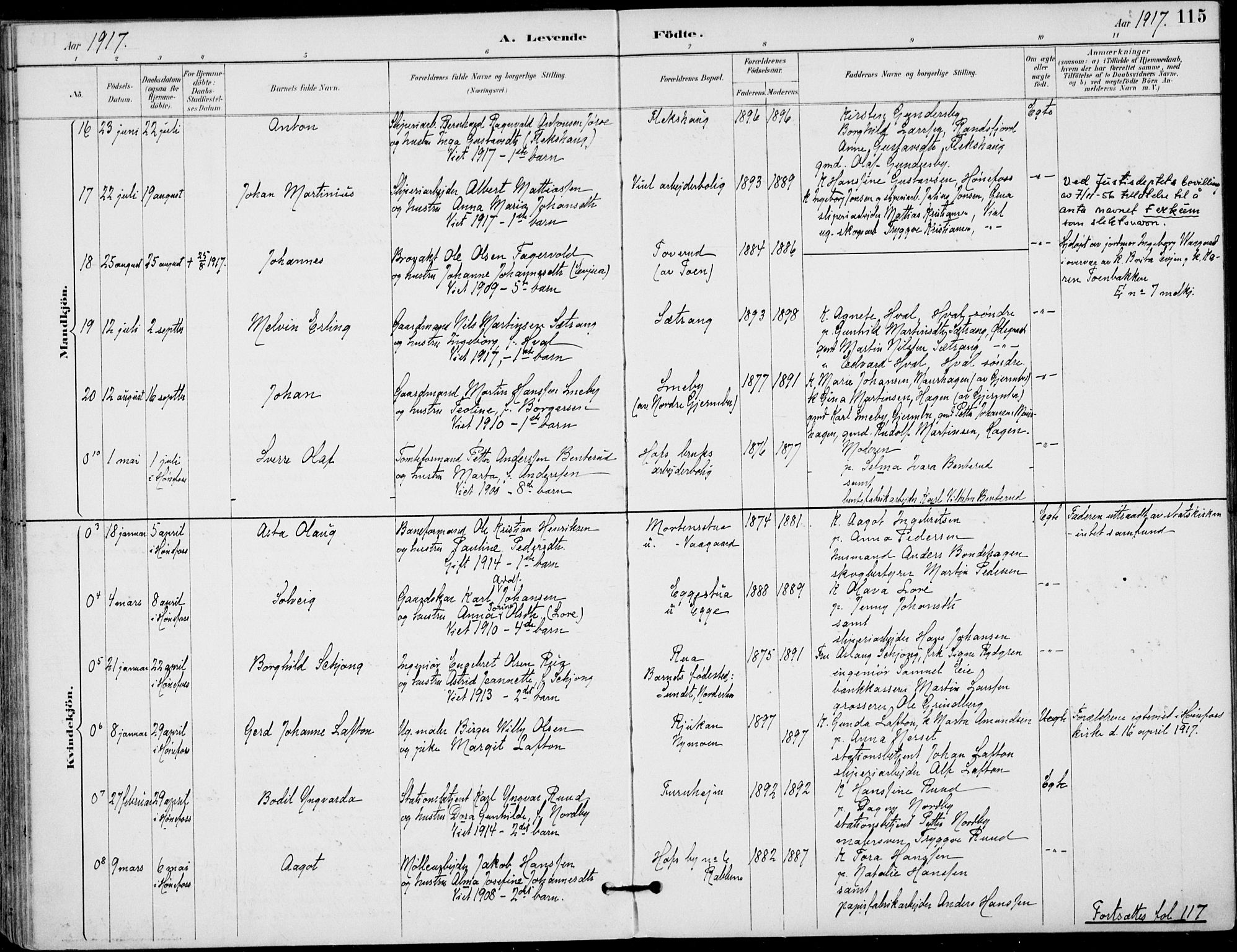 Haug kirkebøker, AV/SAKO-A-604/F/Fa/L0001: Parish register (official) no. 1, 1885-1917, p. 115