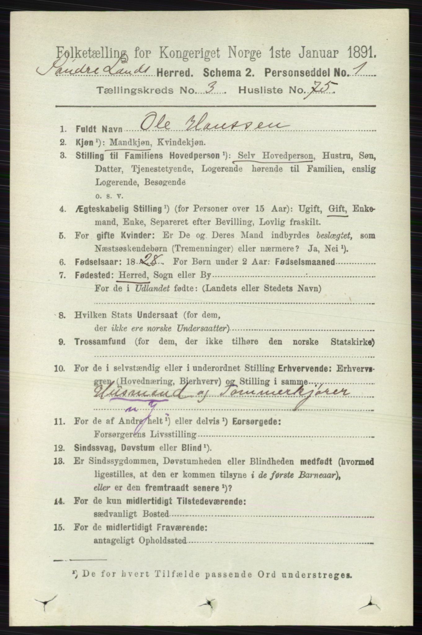 RA, 1891 census for 0536 Søndre Land, 1891, p. 2930