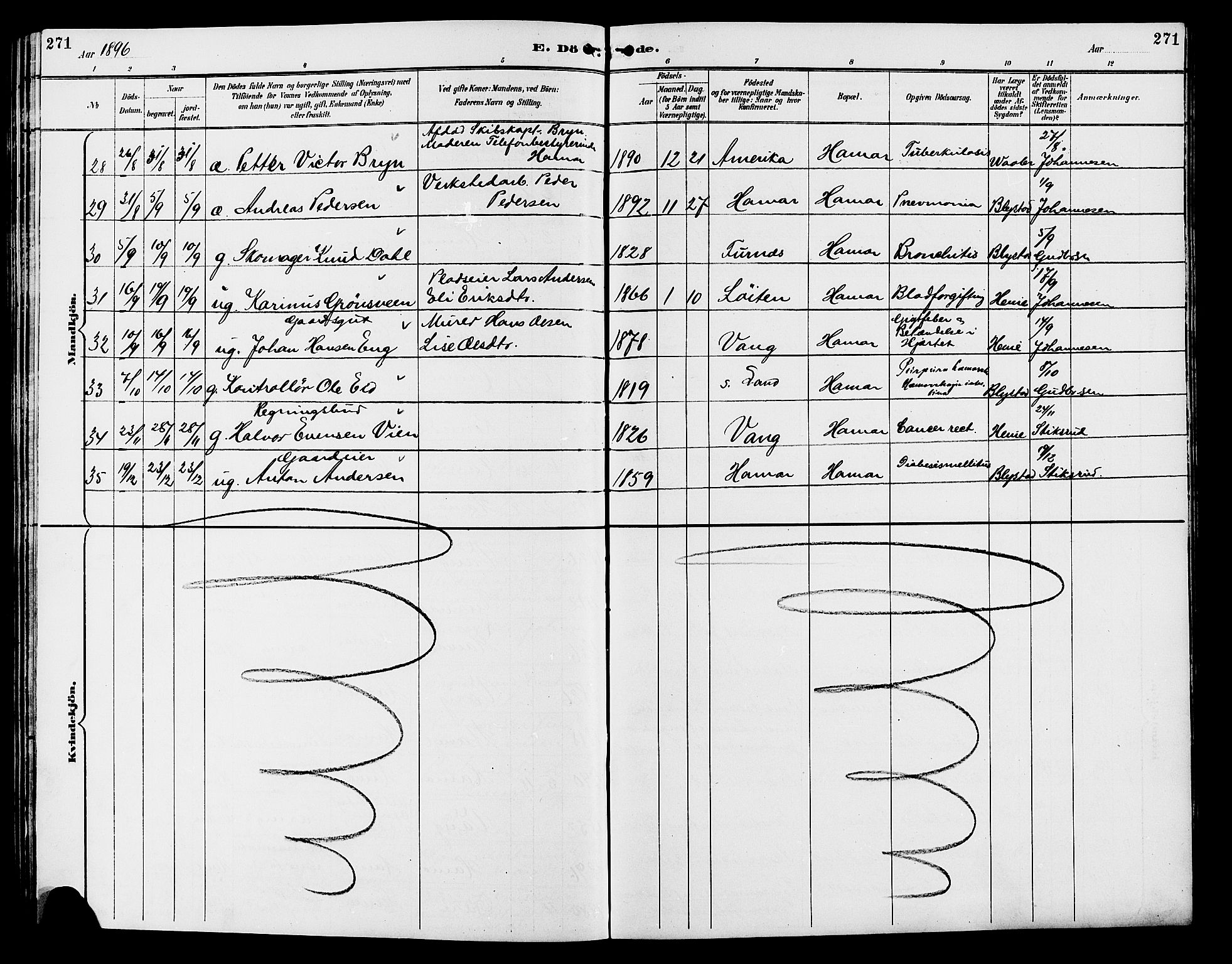 Vang prestekontor, Hedmark, AV/SAH-PREST-008/H/Ha/Hab/L0013: Parish register (copy) no. 13, 1890-1899, p. 271