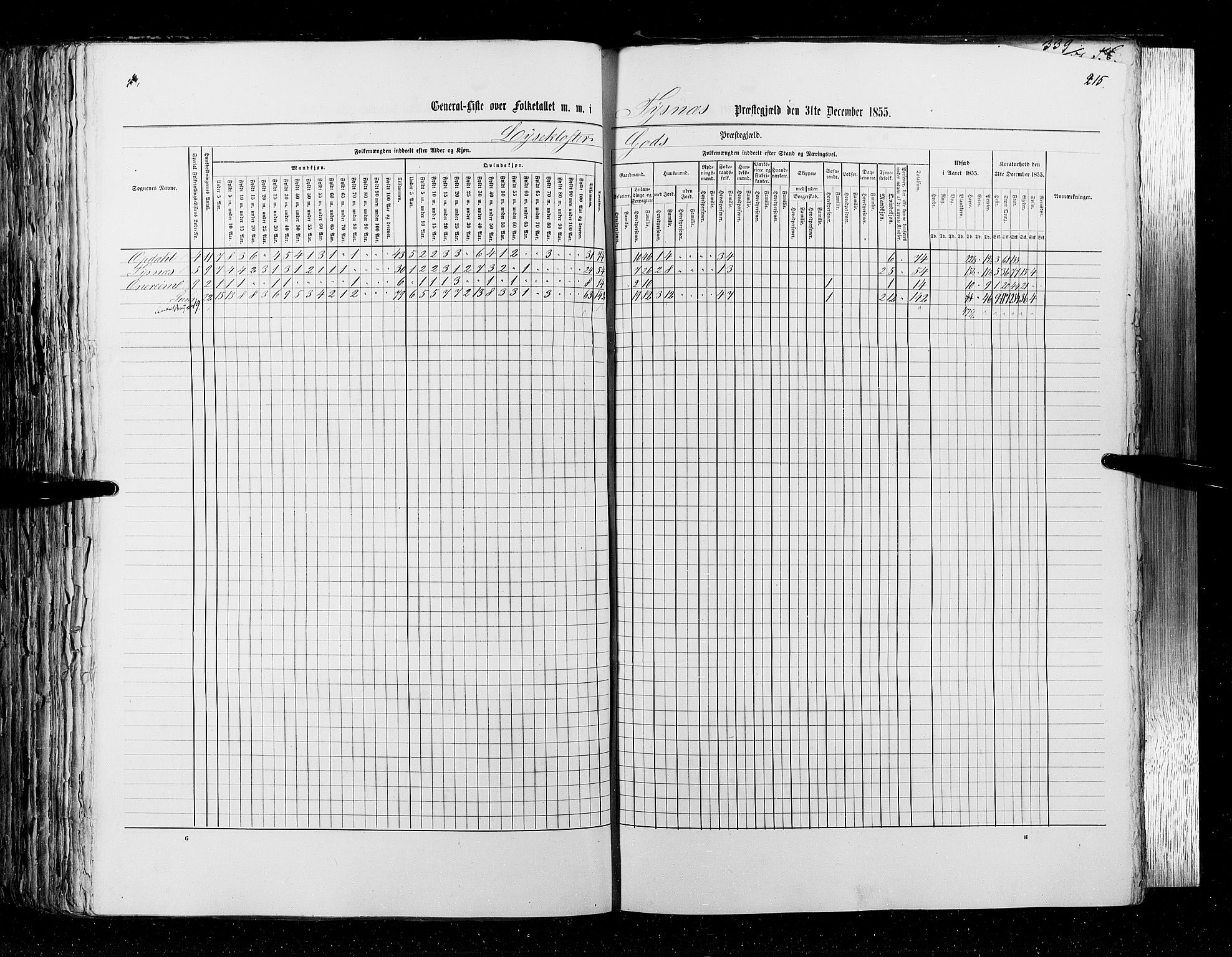 RA, Census 1855, vol. 4: Stavanger amt og Søndre Bergenhus amt, 1855, p. 215