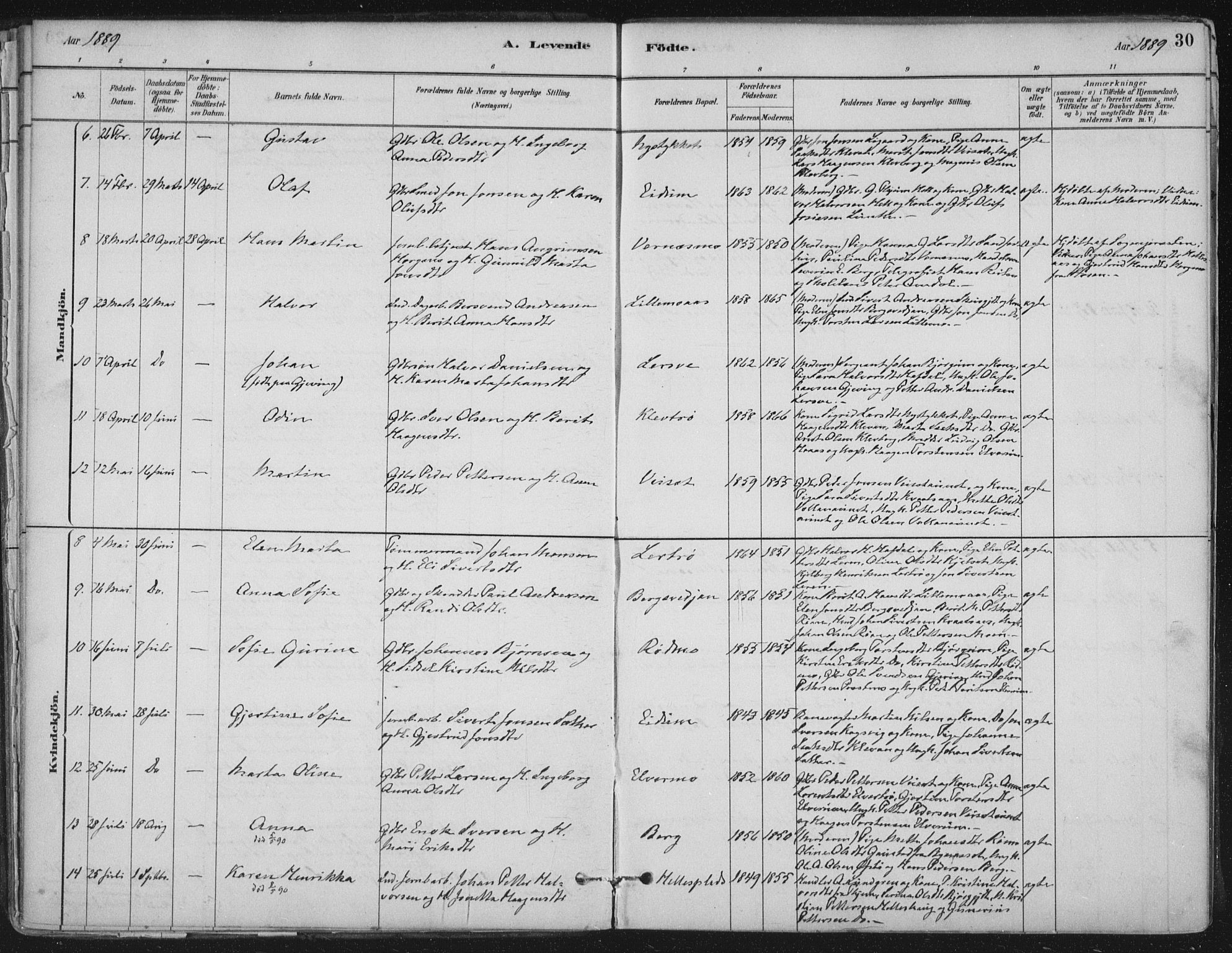 Ministerialprotokoller, klokkerbøker og fødselsregistre - Nord-Trøndelag, SAT/A-1458/710/L0095: Parish register (official) no. 710A01, 1880-1914, p. 30