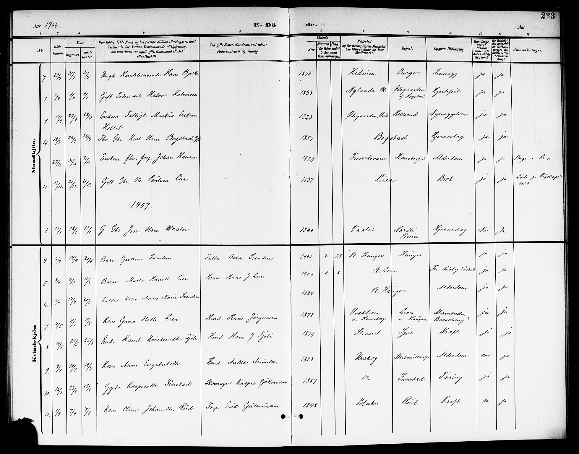 Aurskog prestekontor Kirkebøker, SAO/A-10304a/G/Ga/L0004: Parish register (copy) no. I 4, 1901-1921, p. 233