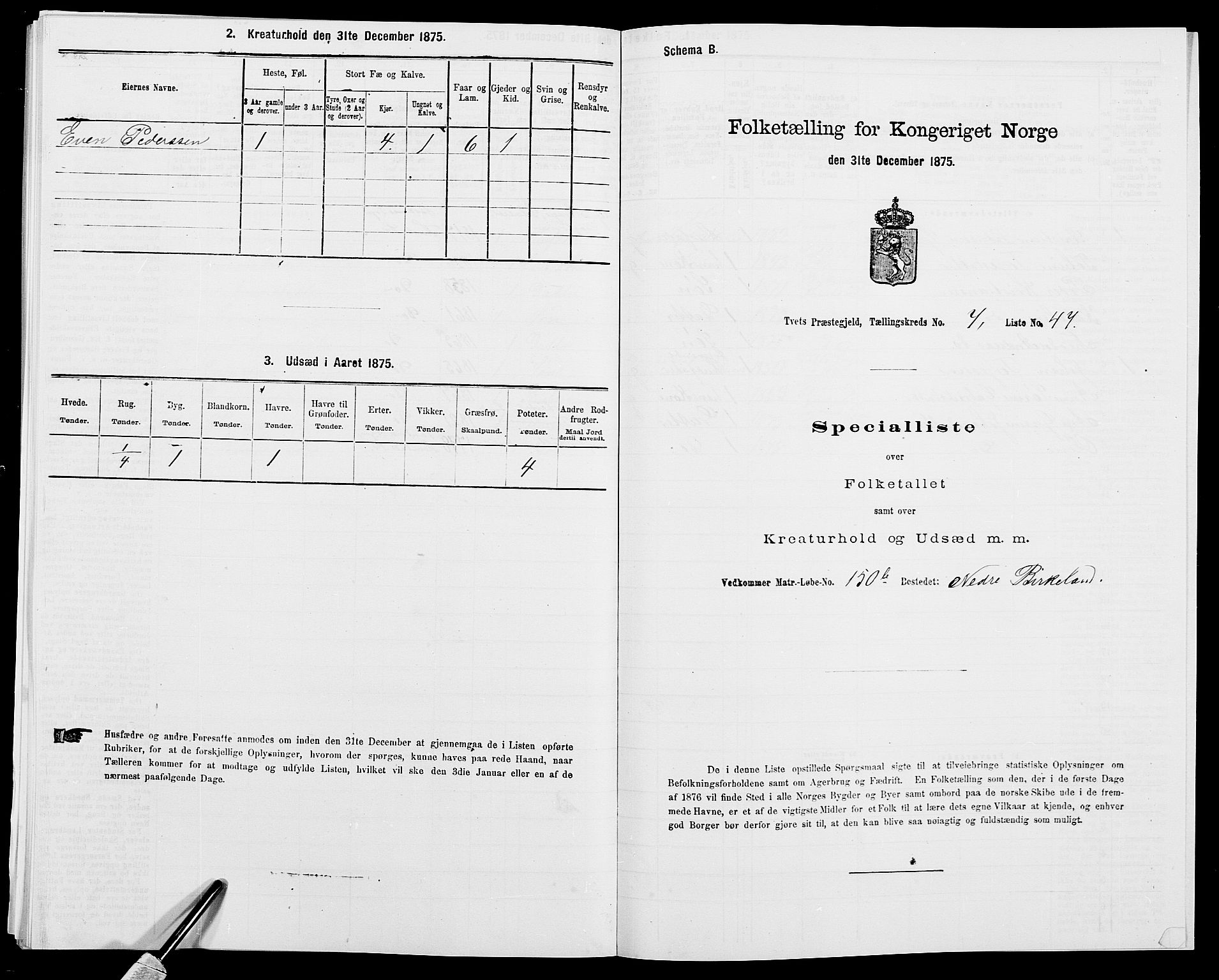 SAK, 1875 census for 1013P Tveit, 1875, p. 983