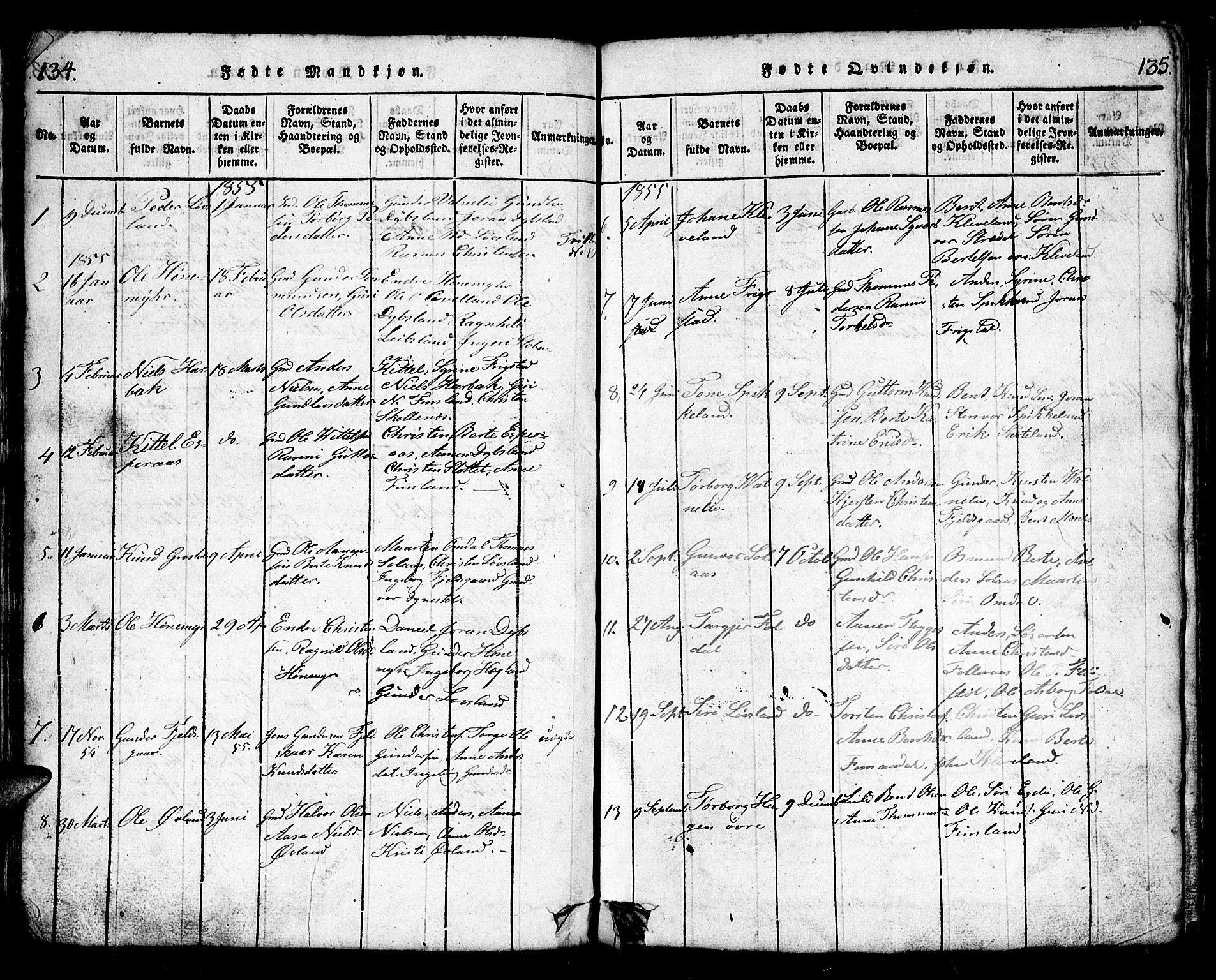 Bjelland sokneprestkontor, AV/SAK-1111-0005/F/Fb/Fbb/L0003: Parish register (copy) no. B 3, 1816-1868, p. 134-135