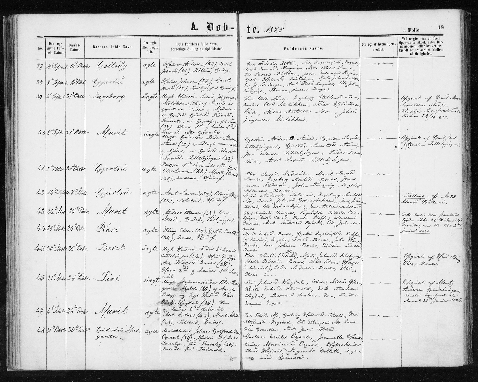 Ministerialprotokoller, klokkerbøker og fødselsregistre - Sør-Trøndelag, SAT/A-1456/687/L1001: Parish register (official) no. 687A07, 1863-1878, p. 48