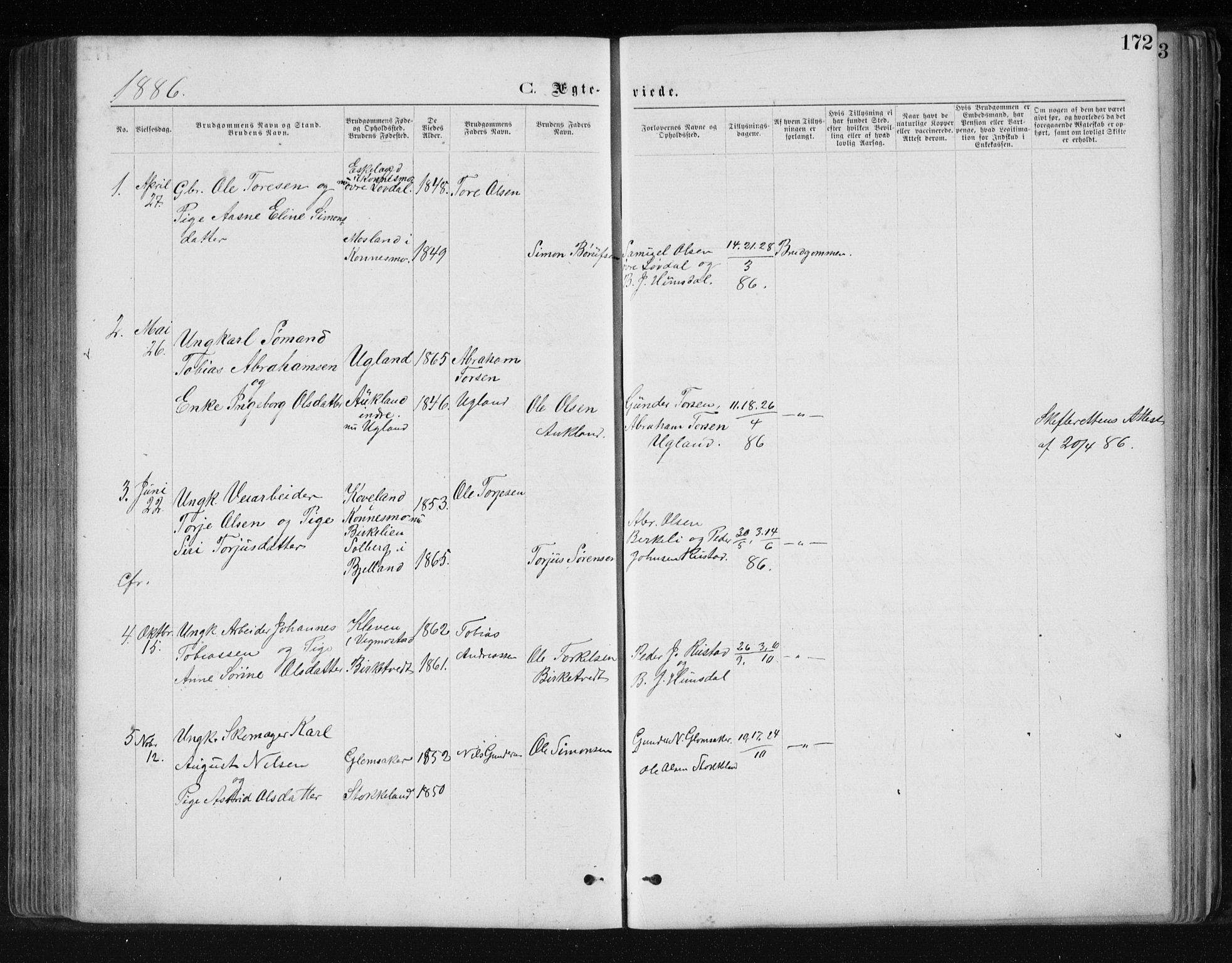 Holum sokneprestkontor, AV/SAK-1111-0022/F/Fb/Fbb/L0003: Parish register (copy) no. B 3, 1875-1898, p. 172