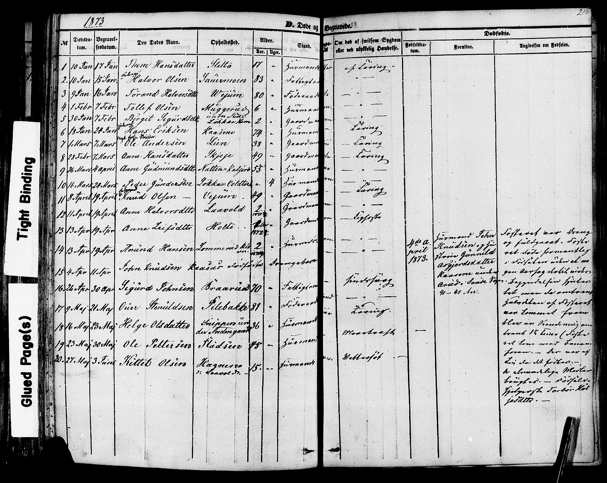 Sauherad kirkebøker, AV/SAKO-A-298/F/Fa/L0007: Parish register (official) no. I 7, 1851-1873, p. 216