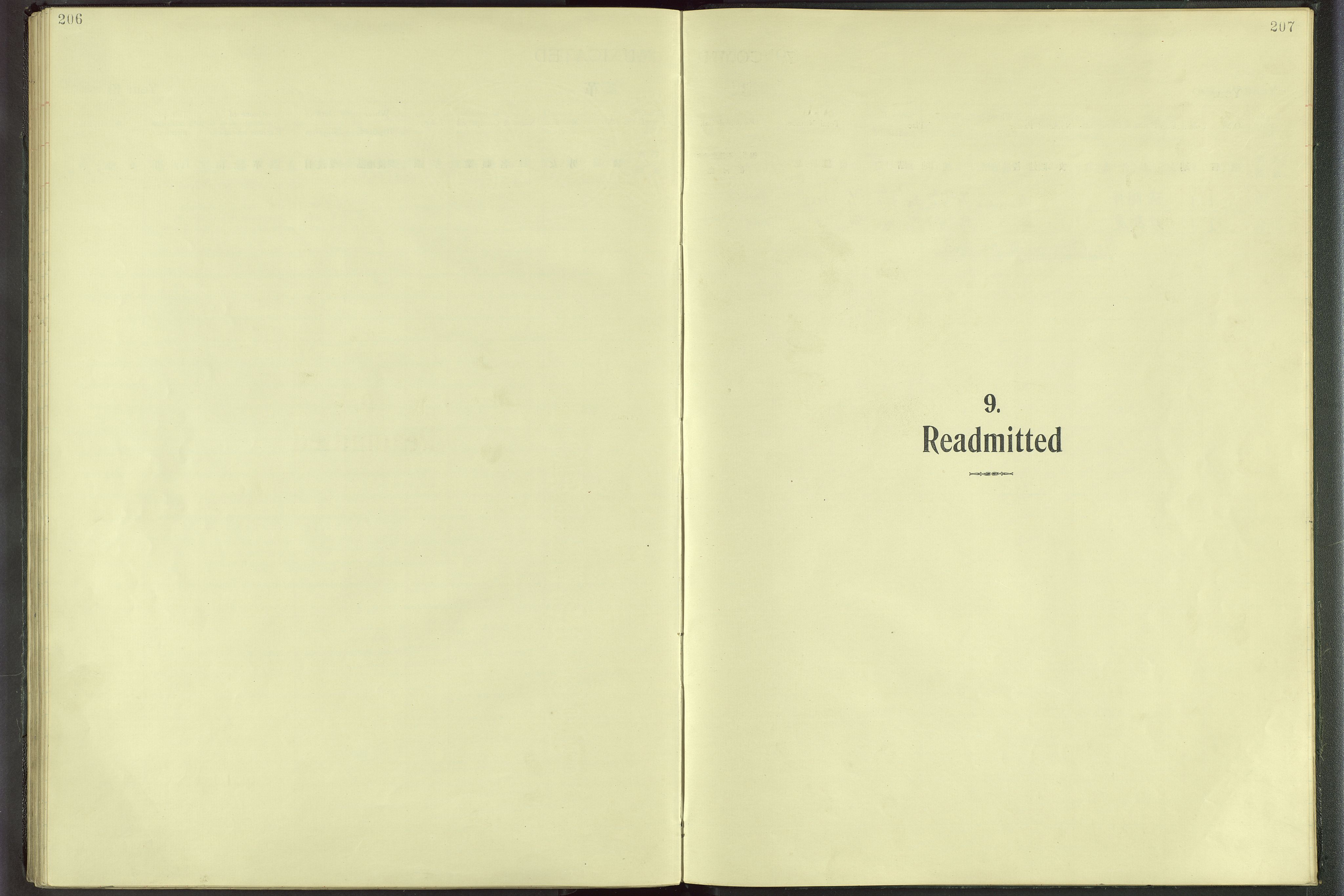 Det Norske Misjonsselskap - utland - Kina (Hunan), VID/MA-A-1065/Dm/L0001: Parish register (official) no. 46, 1903-1936, p. 206-207