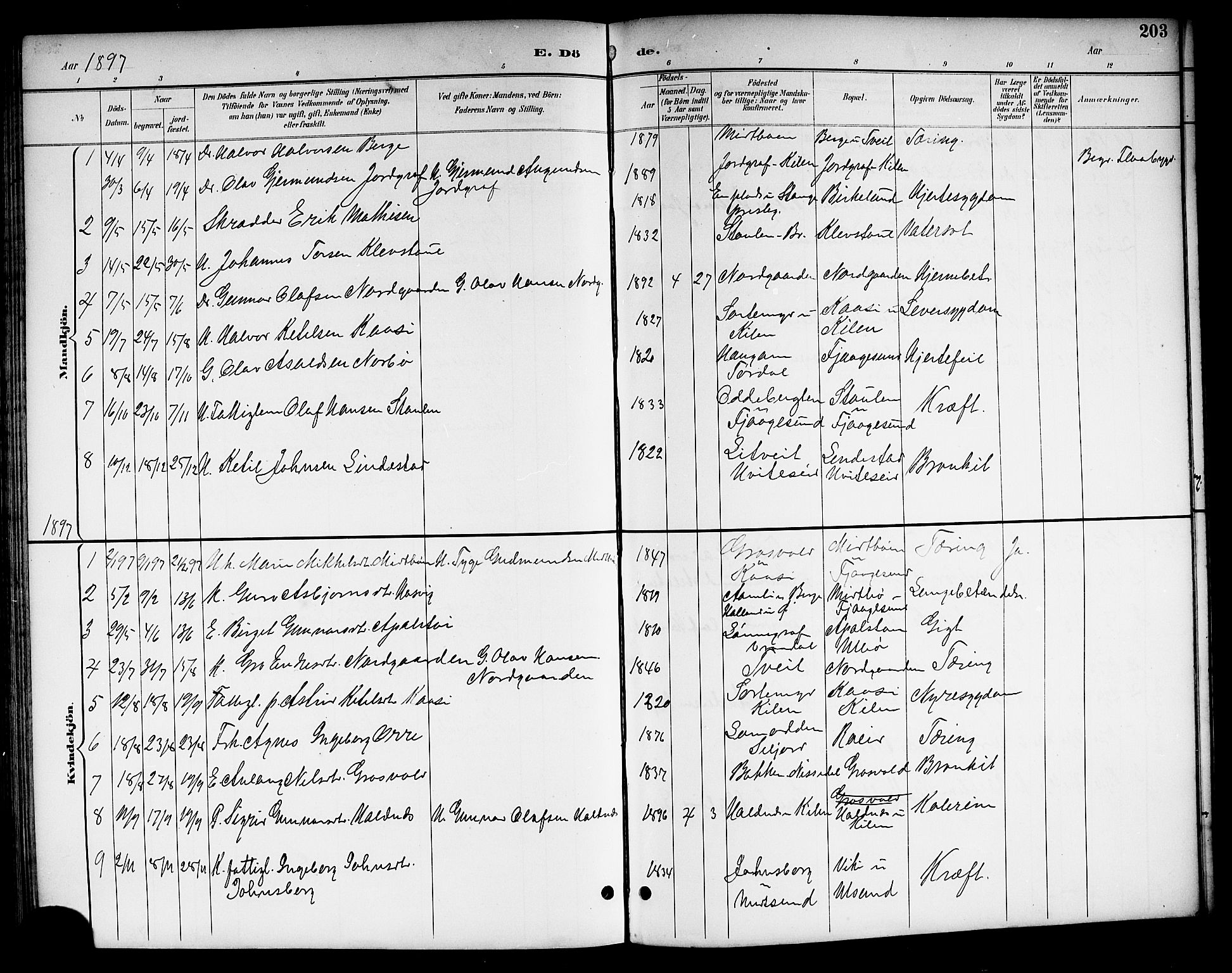 Kviteseid kirkebøker, SAKO/A-276/G/Ga/L0002: Parish register (copy) no. I 2, 1893-1918, p. 203