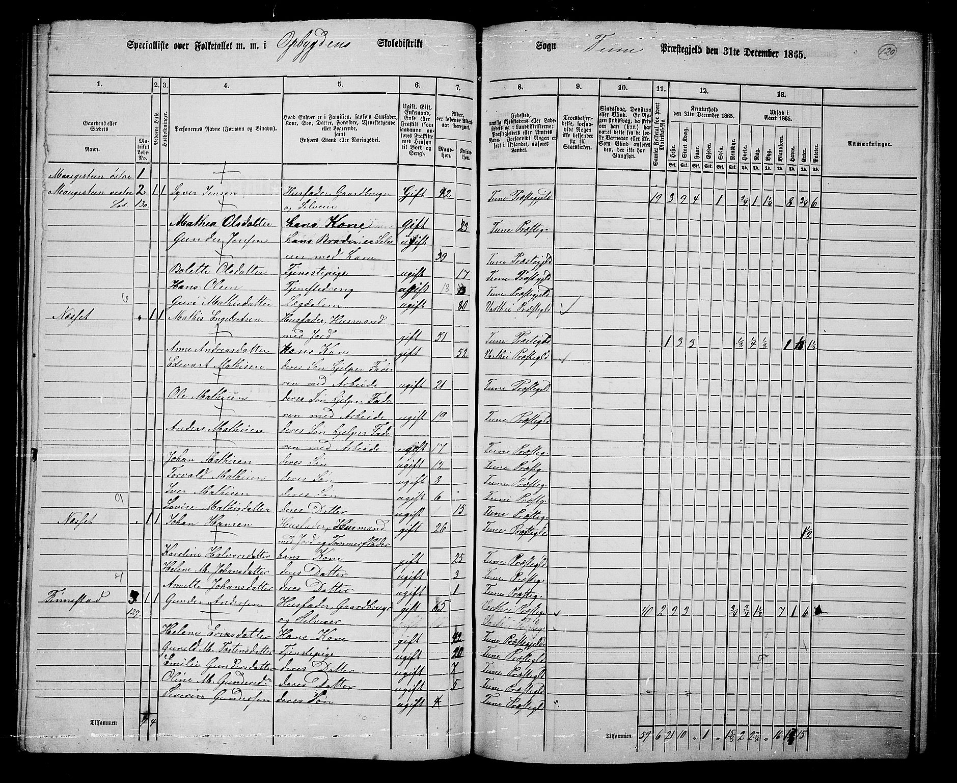 RA, 1865 census for Tune, 1865, p. 202