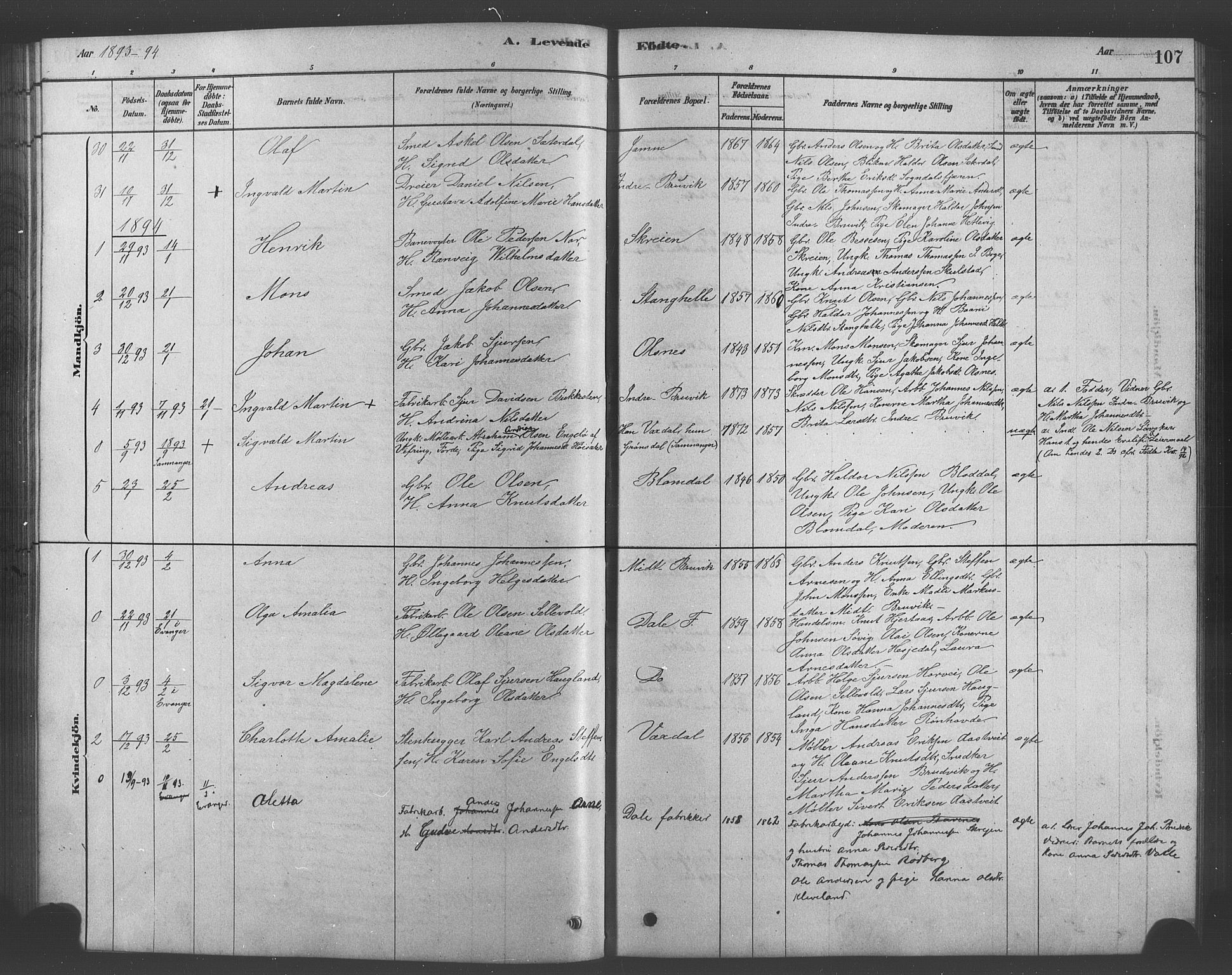 Bruvik Sokneprestembete, AV/SAB-A-74701/H/Hab: Parish register (copy) no. A 1, 1878-1907, p. 107