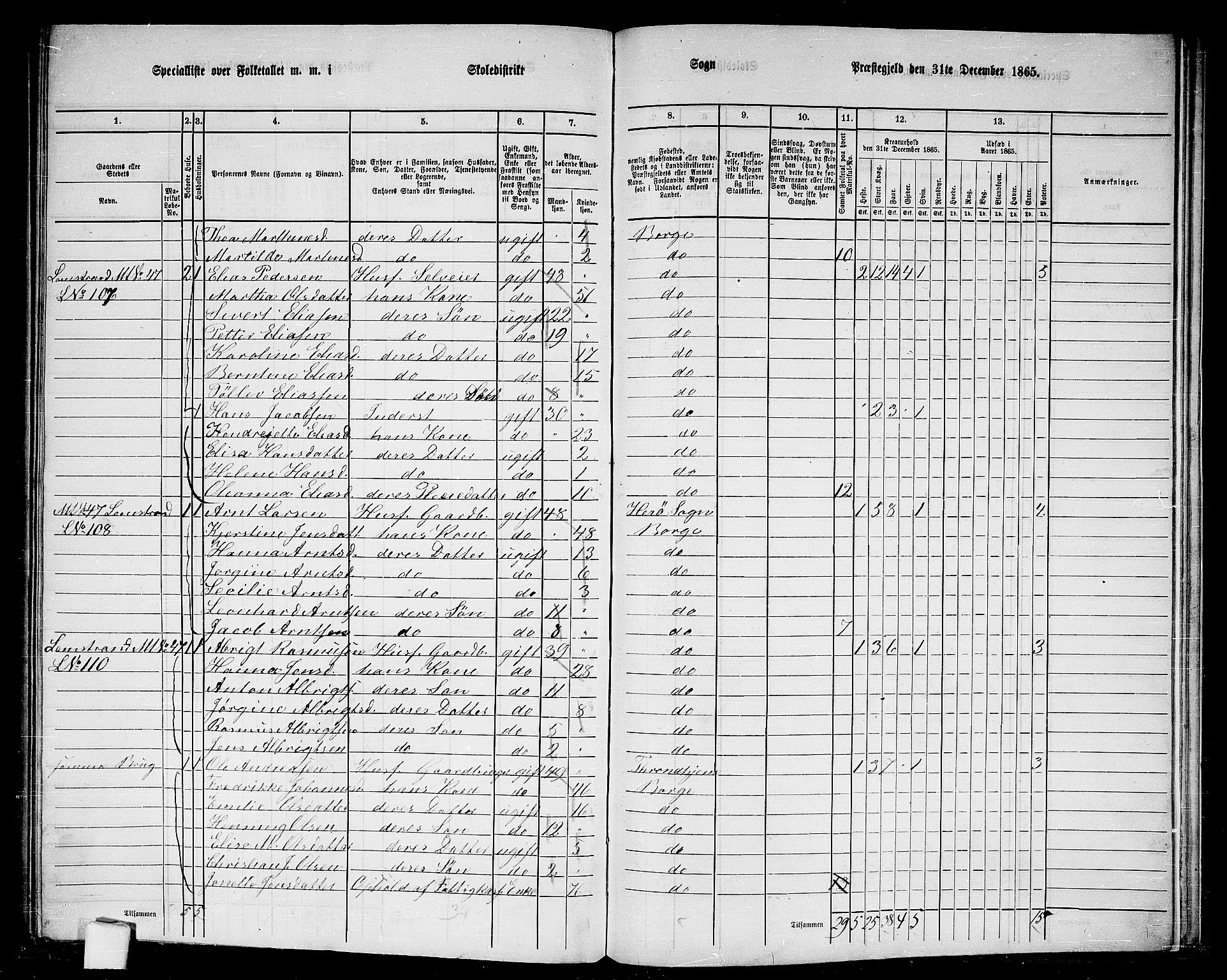 RA, 1865 census for Borge, 1865, p. 74