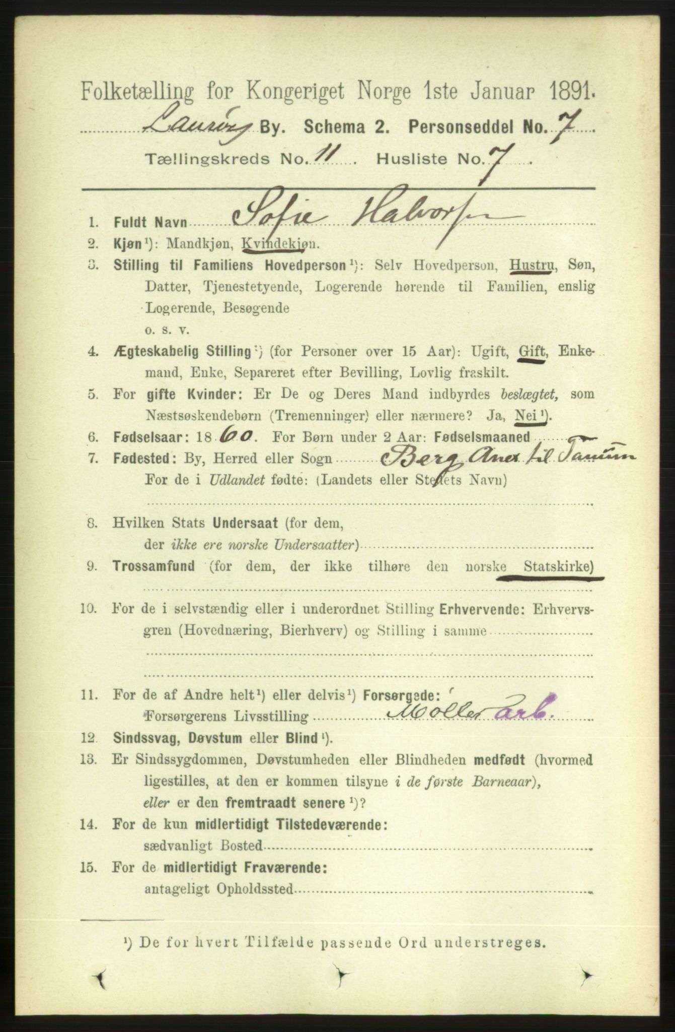 RA, 1891 census for 0707 Larvik, 1891, p. 9679