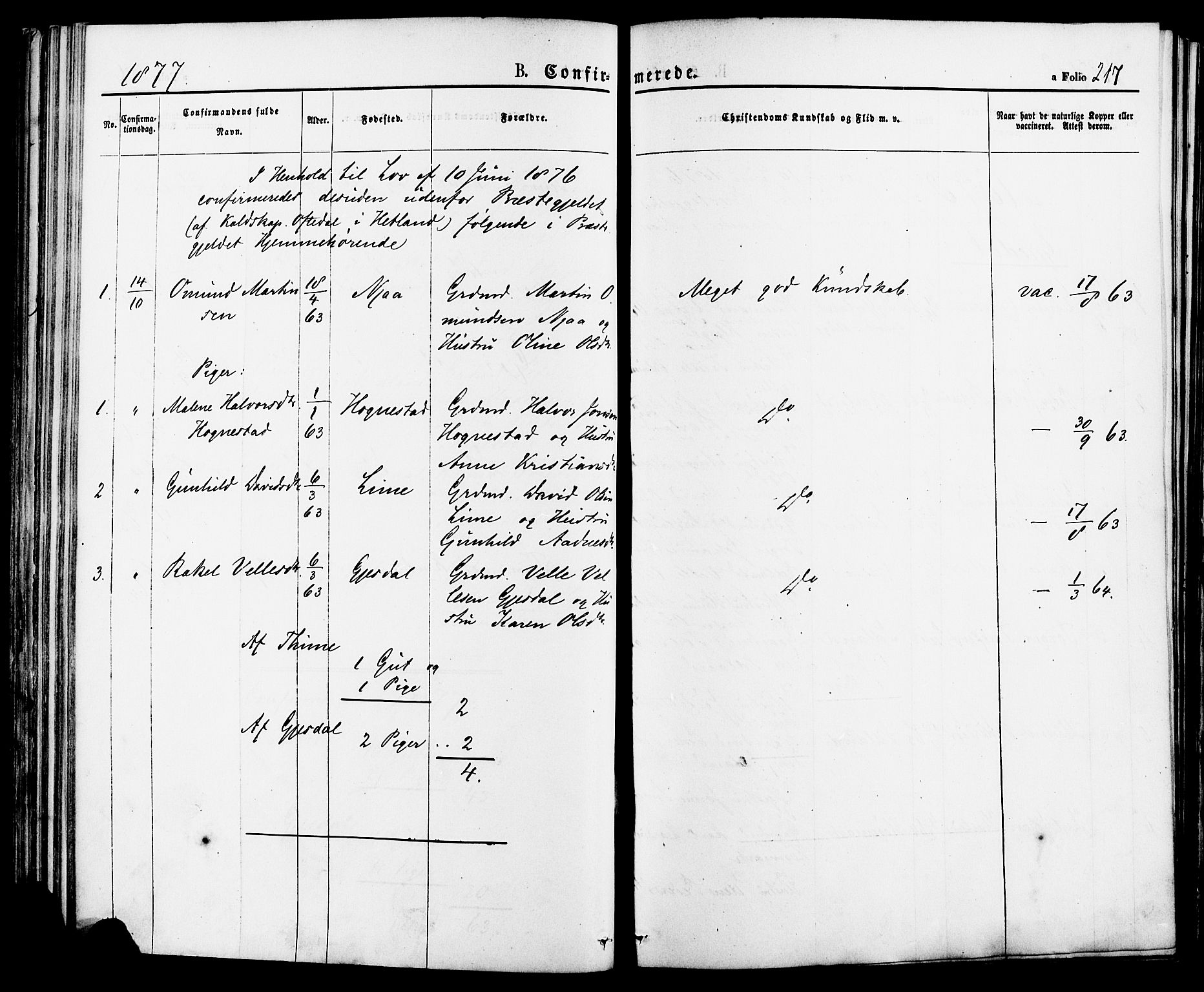 Lye sokneprestkontor, AV/SAST-A-101794/001/30BA/L0008: Parish register (official) no. A 7, 1872-1881, p. 217