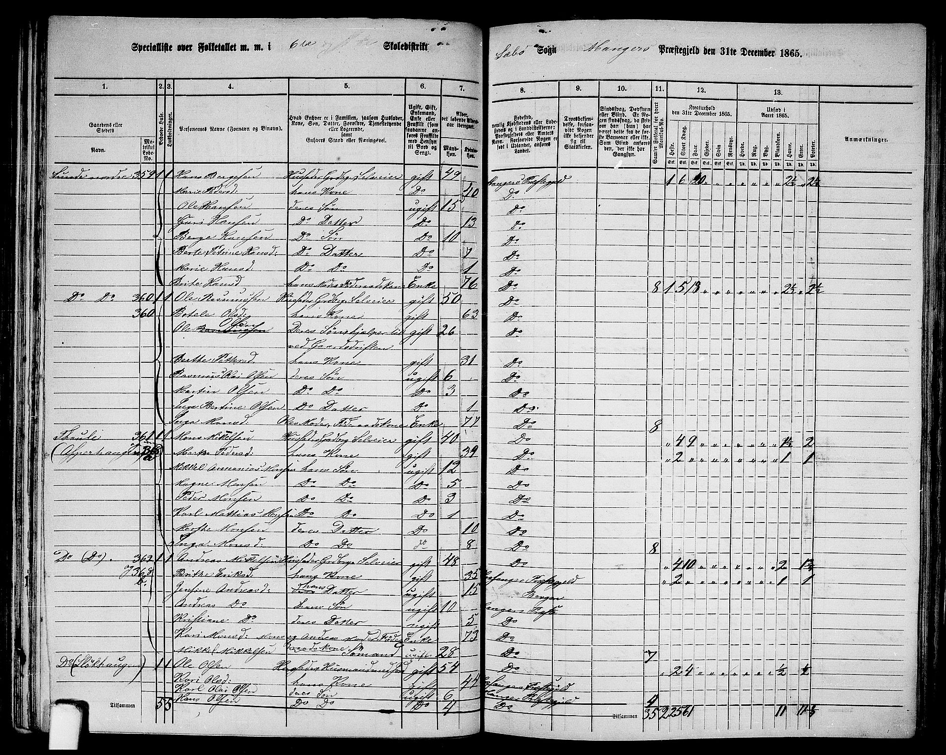 RA, 1865 census for Manger, 1865, p. 96