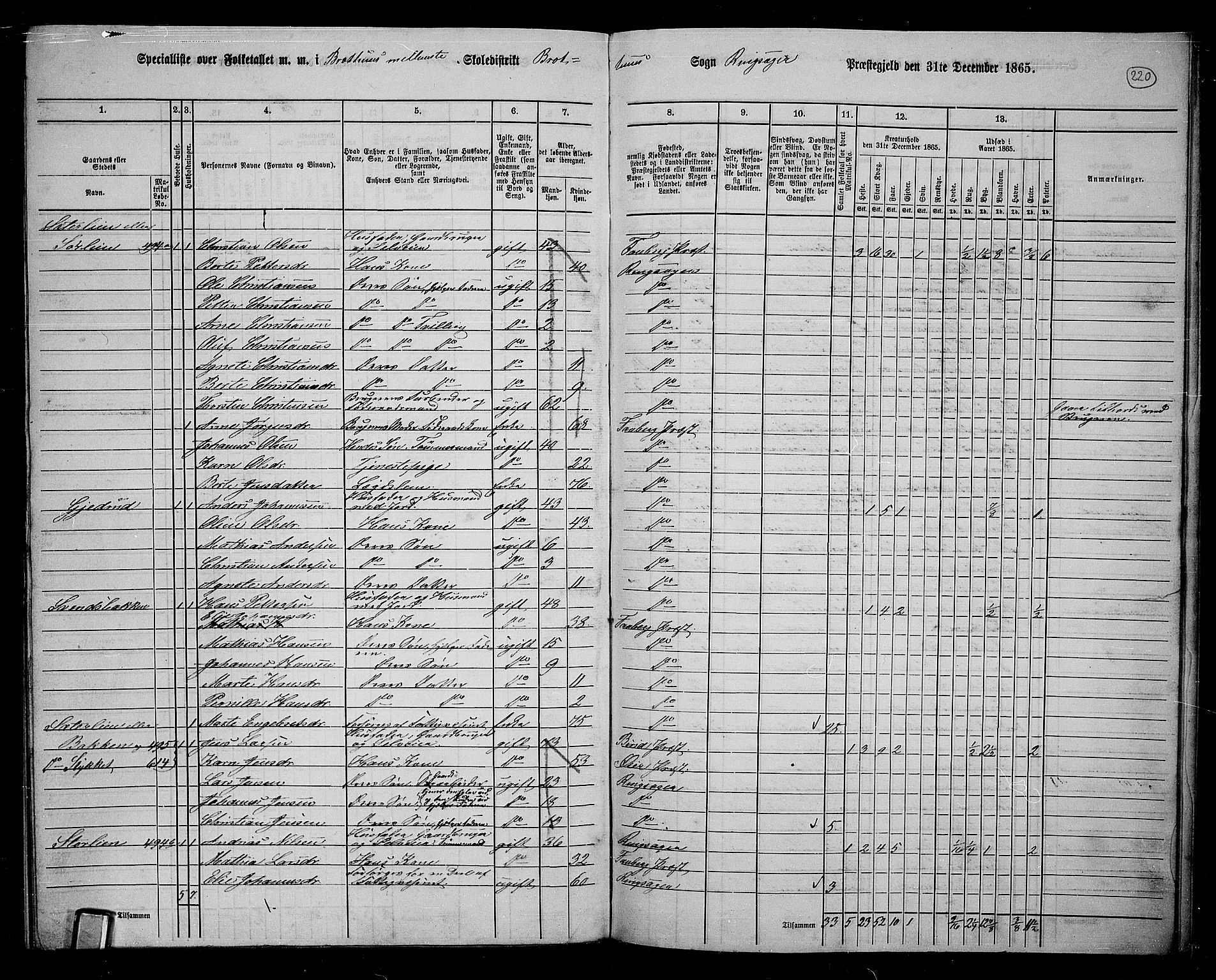 RA, 1865 census for Ringsaker, 1865, p. 459