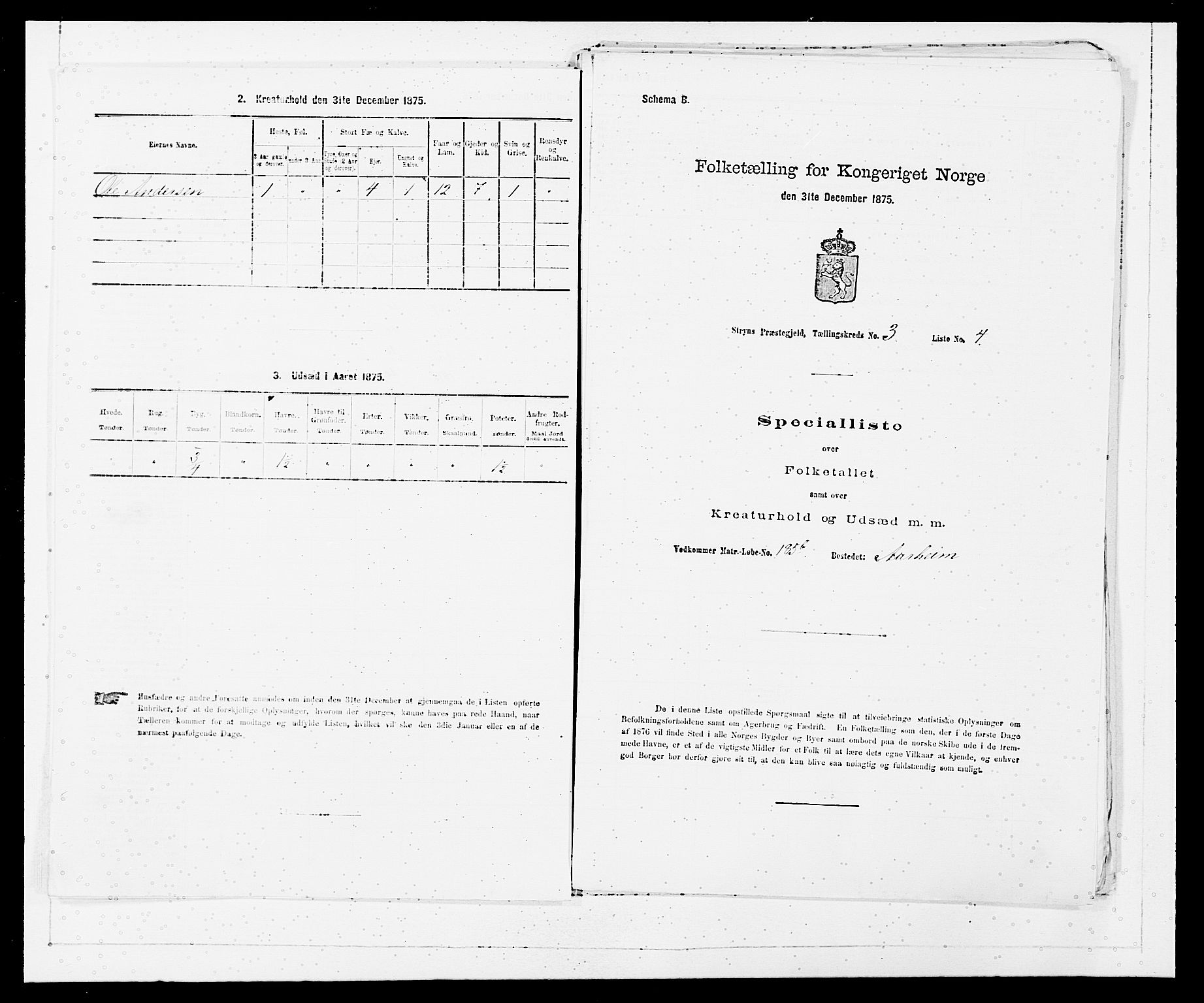 SAB, 1875 Census for 1448P Stryn, 1875, p. 121