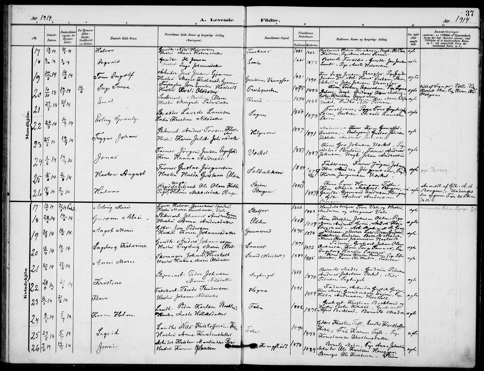 Holla kirkebøker, AV/SAKO-A-272/F/Fa/L0012: Parish register (official) no. 12, 1907-1923, p. 37