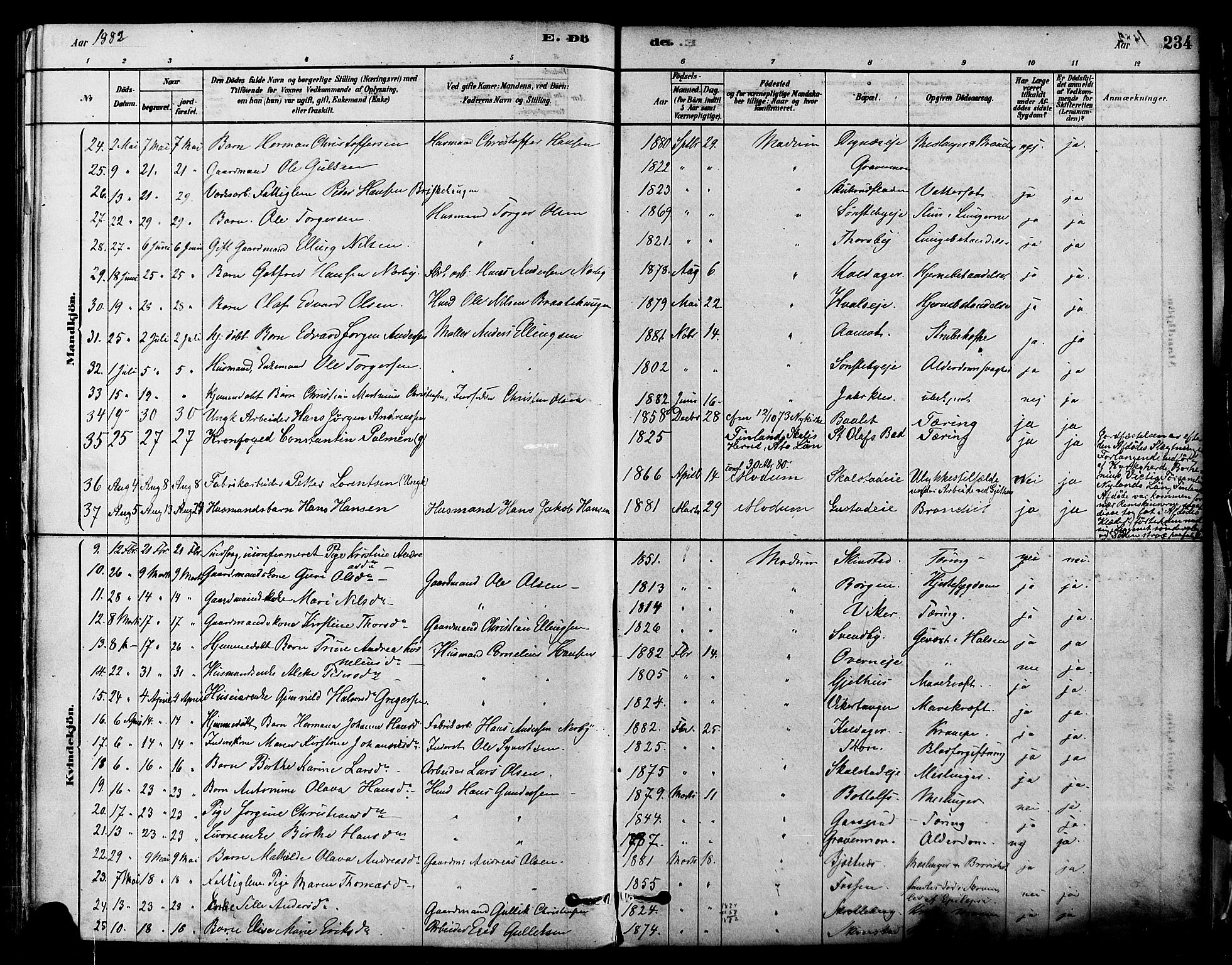 Modum kirkebøker, AV/SAKO-A-234/F/Fa/L0011: Parish register (official) no. 11, 1877-1889, p. 234