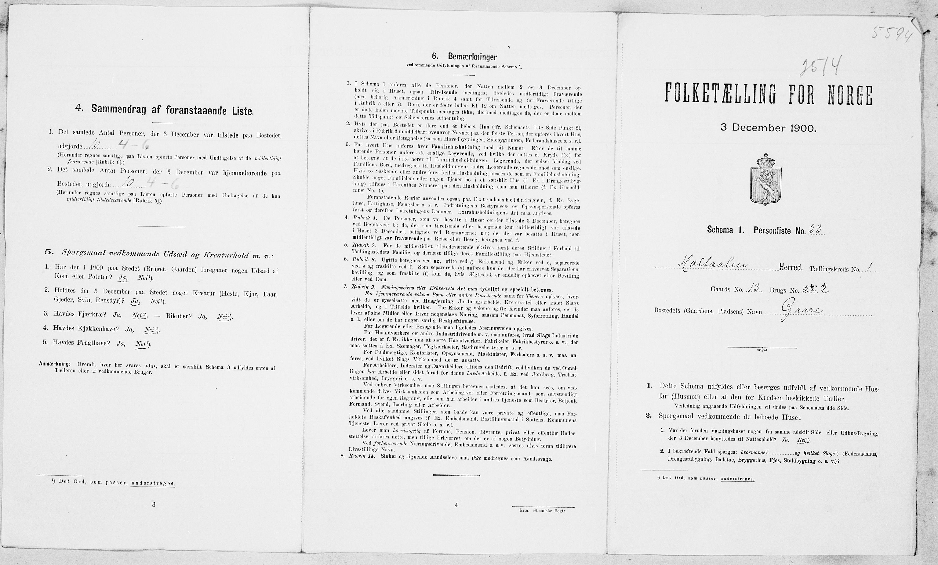 SAT, 1900 census for Haltdalen, 1900, p. 12