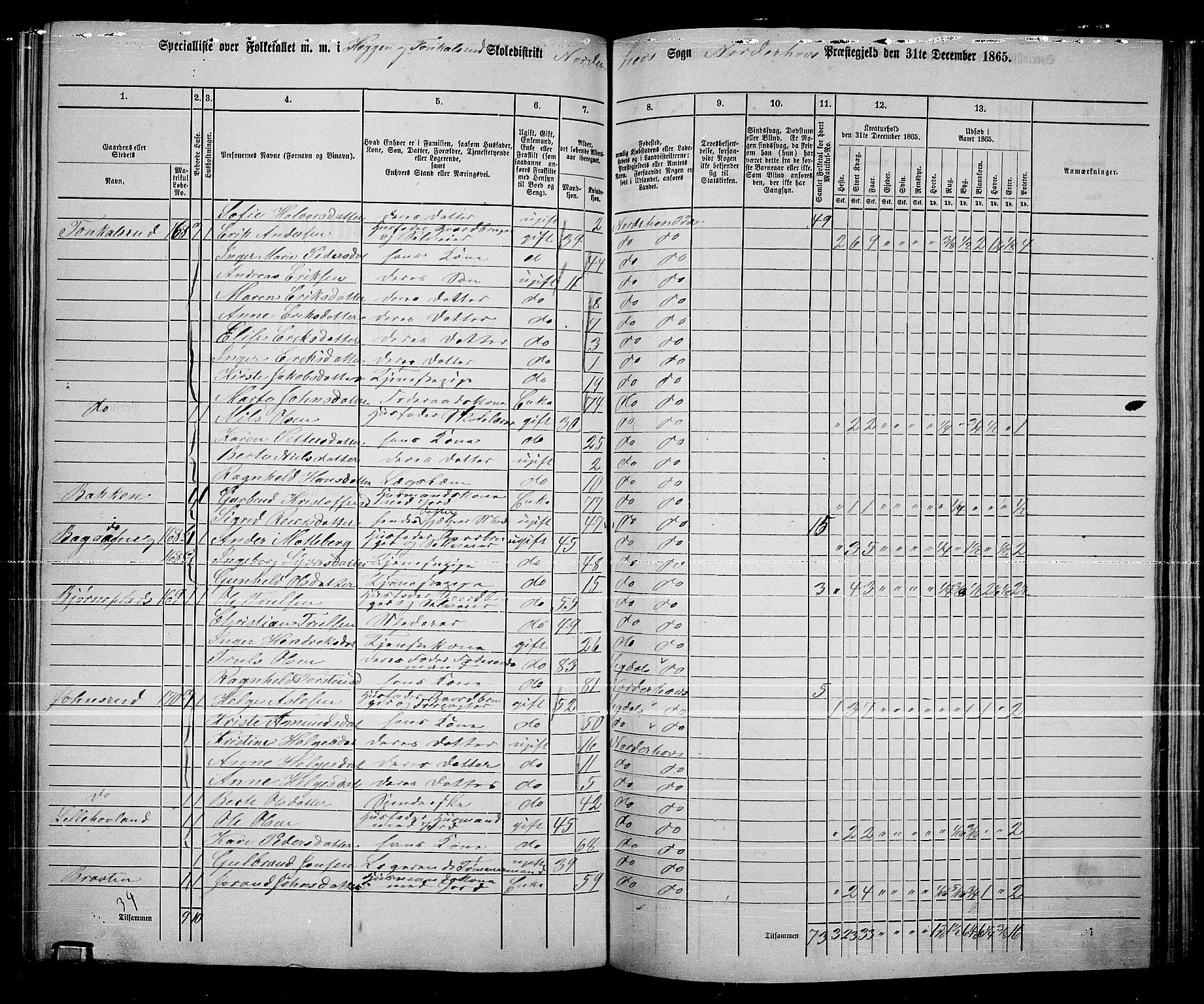 RA, 1865 census for Norderhov/Norderhov, Haug og Lunder, 1865, p. 199