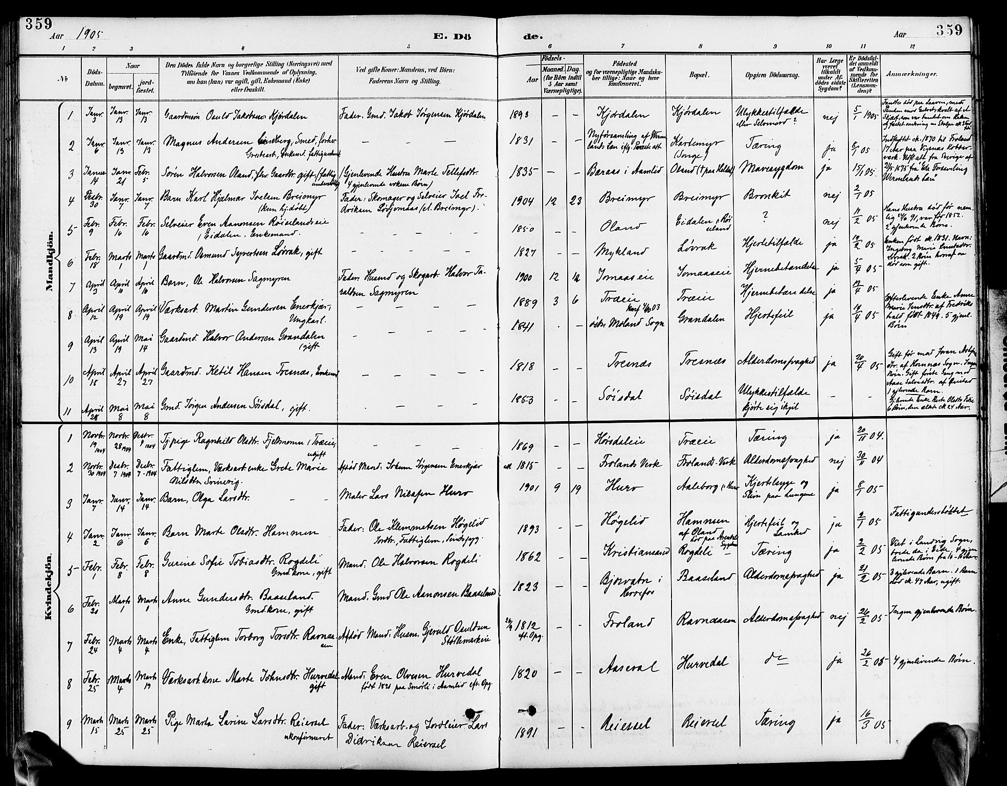 Froland sokneprestkontor, AV/SAK-1111-0013/F/Fb/L0010: Parish register (copy) no. B 10, 1893-1920, p. 359