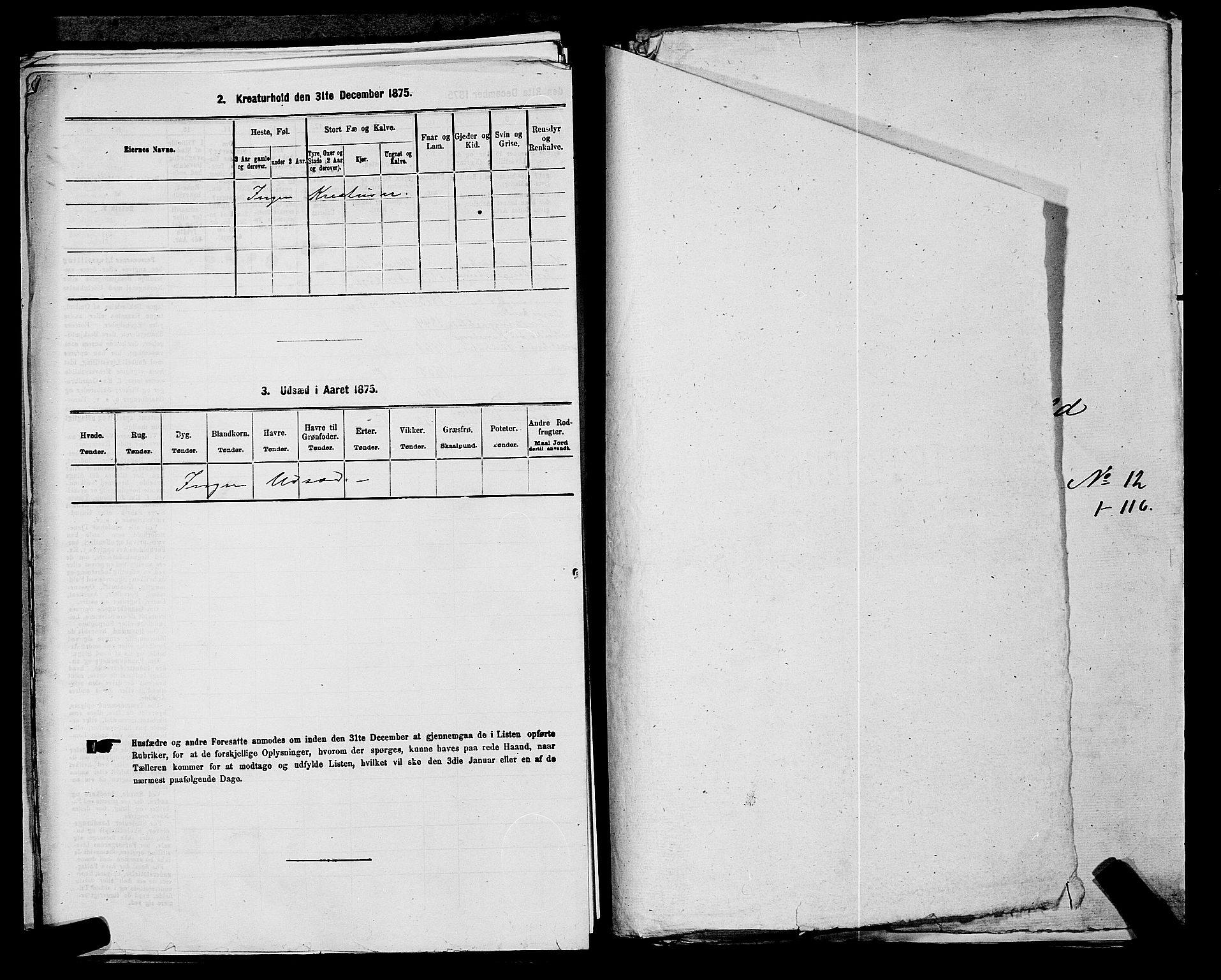 RA, 1875 census for 0236P Nes, 1875, p. 2035