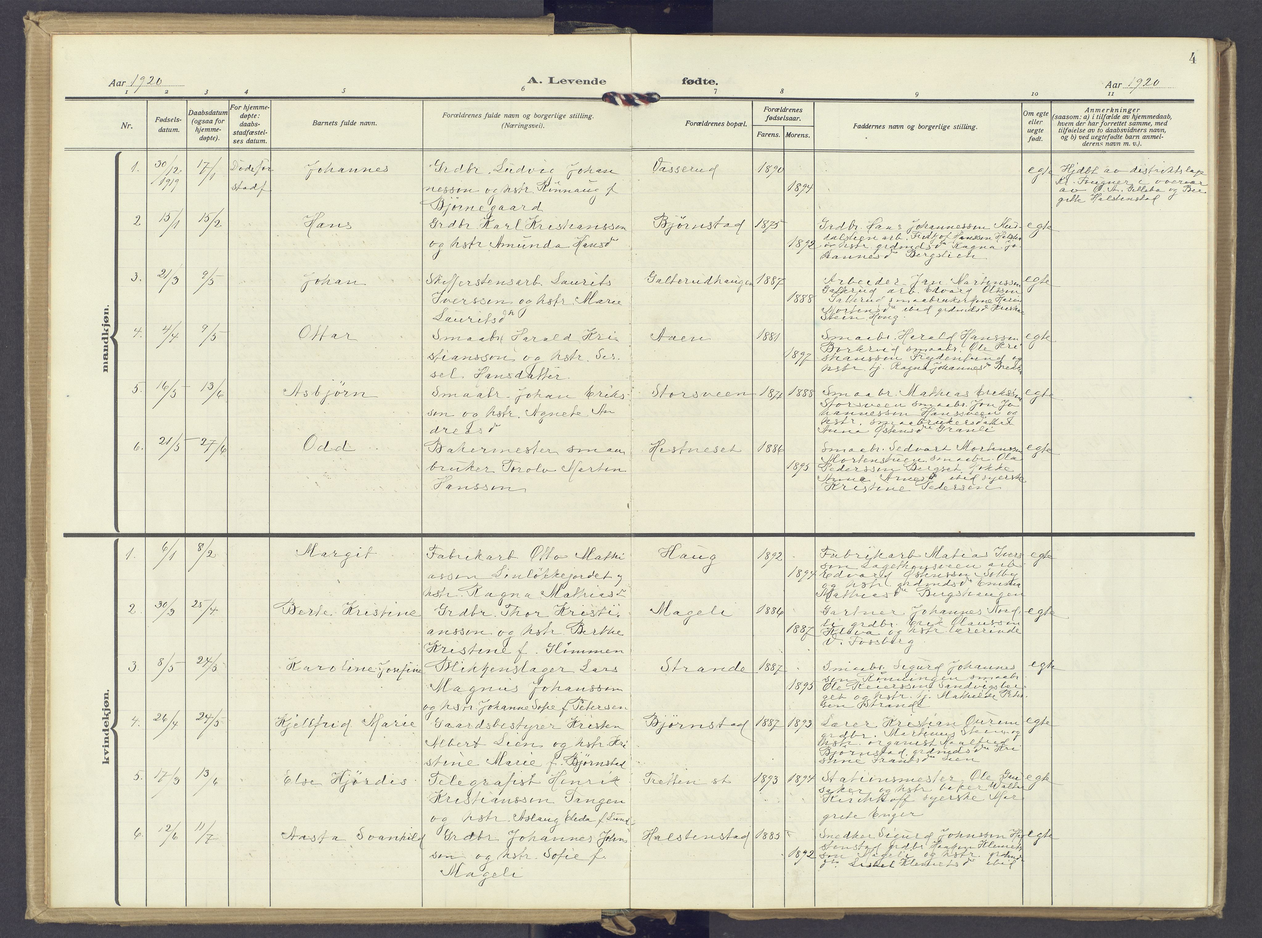 Øyer prestekontor, AV/SAH-PREST-084/H/Ha/Haa/L0014: Parish register (official) no. 14, 1919-1932, p. 4