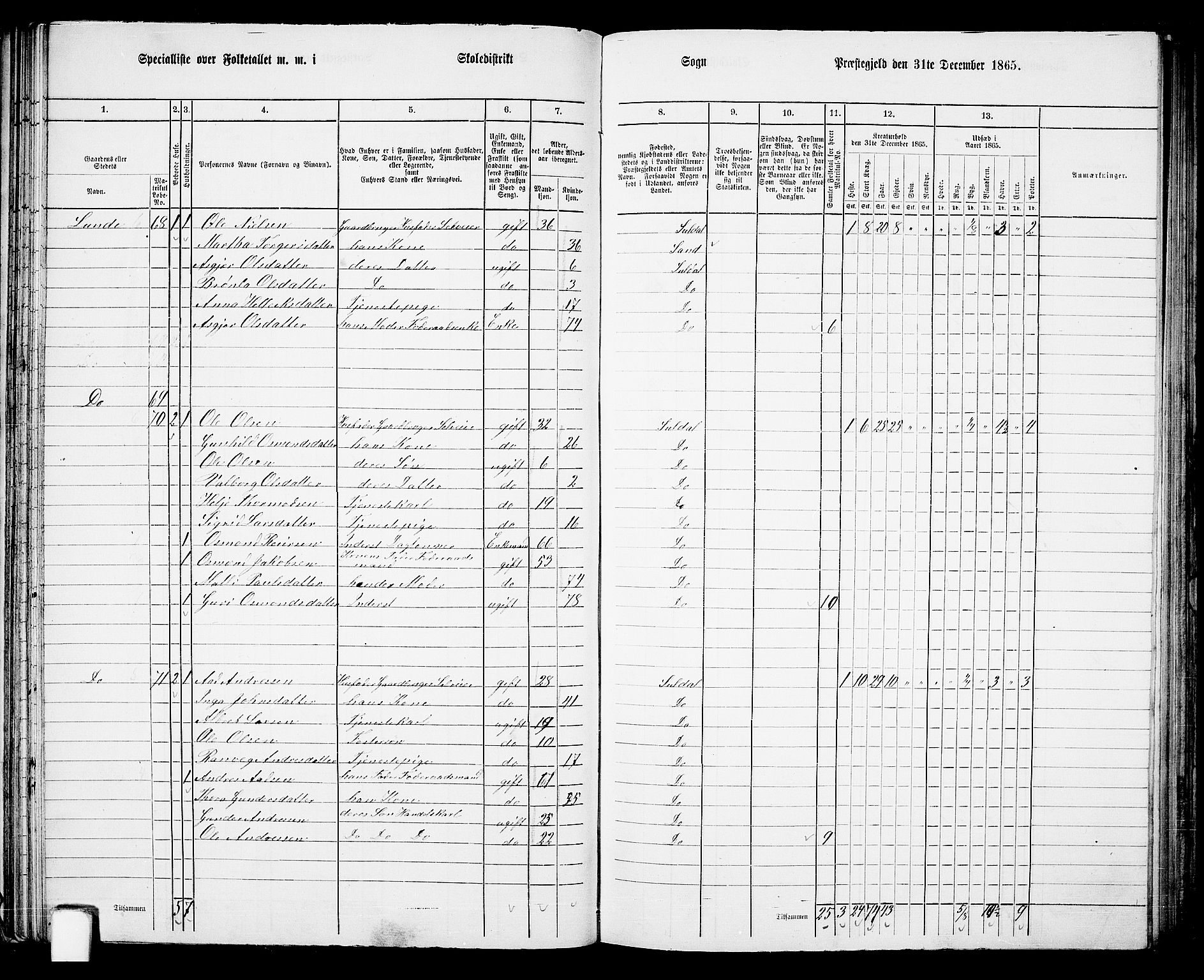 RA, 1865 census for Suldal, 1865, p. 51