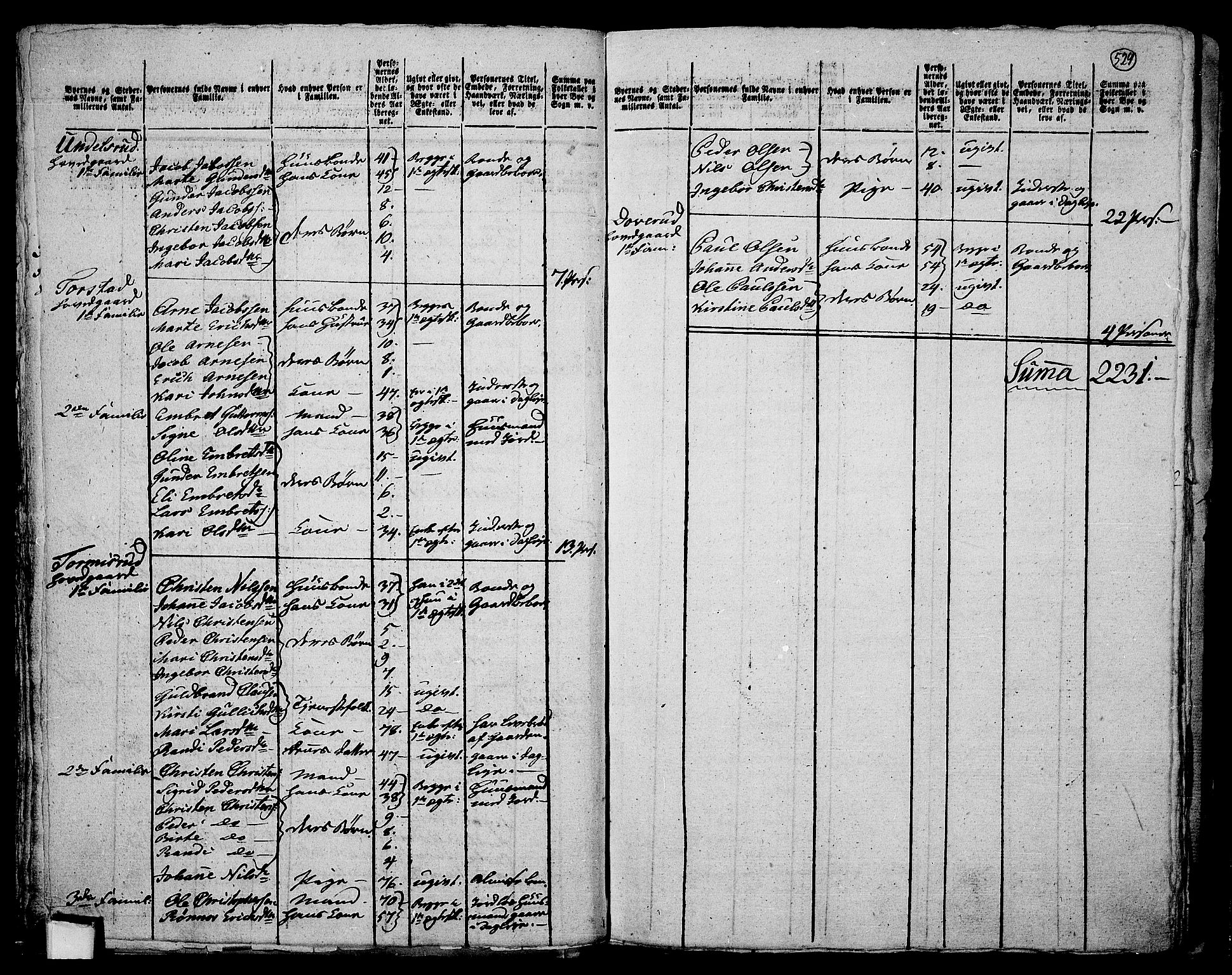 RA, 1801 census for 0626P Lier, 1801, p. 528b-529a