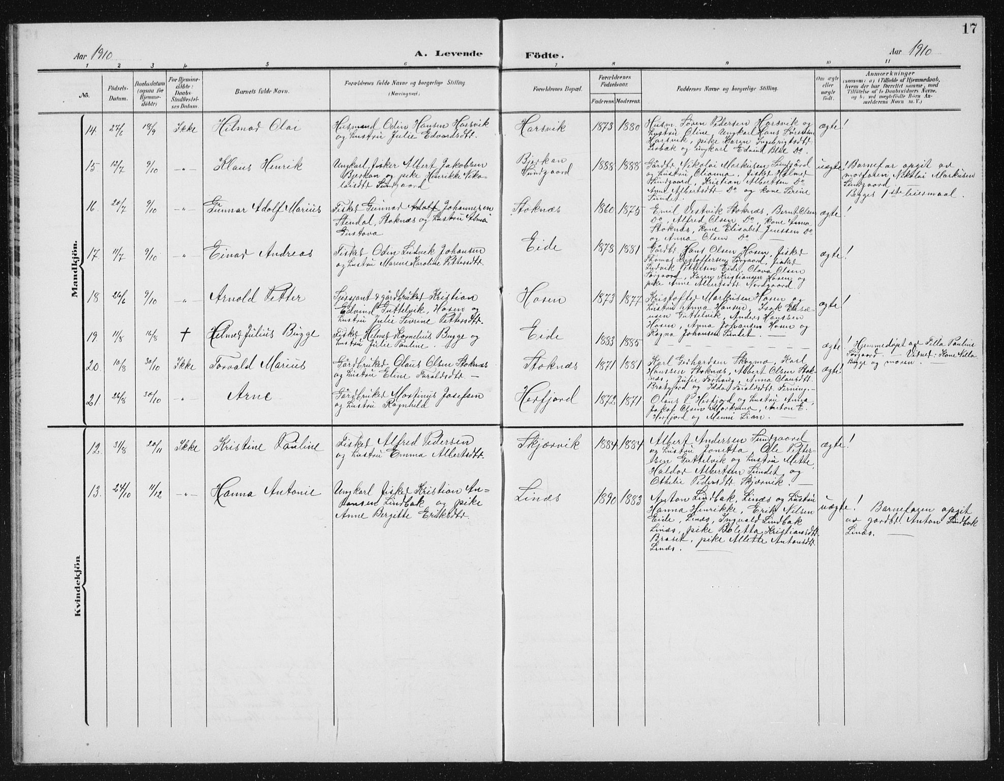 Ministerialprotokoller, klokkerbøker og fødselsregistre - Sør-Trøndelag, SAT/A-1456/656/L0699: Parish register (copy) no. 656C05, 1905-1920, p. 17