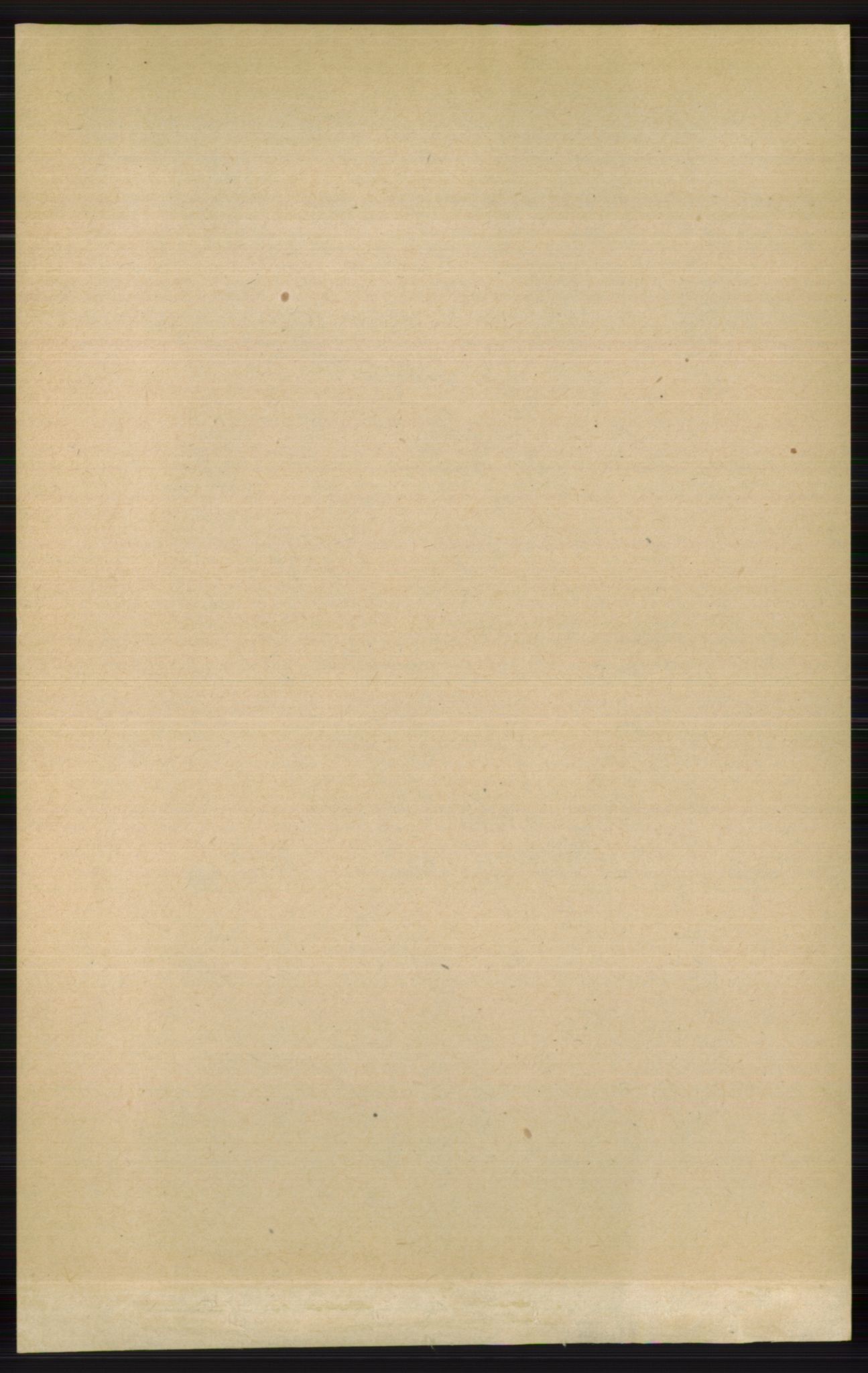 RA, 1891 census for 0815 Skåtøy, 1891, p. 4135