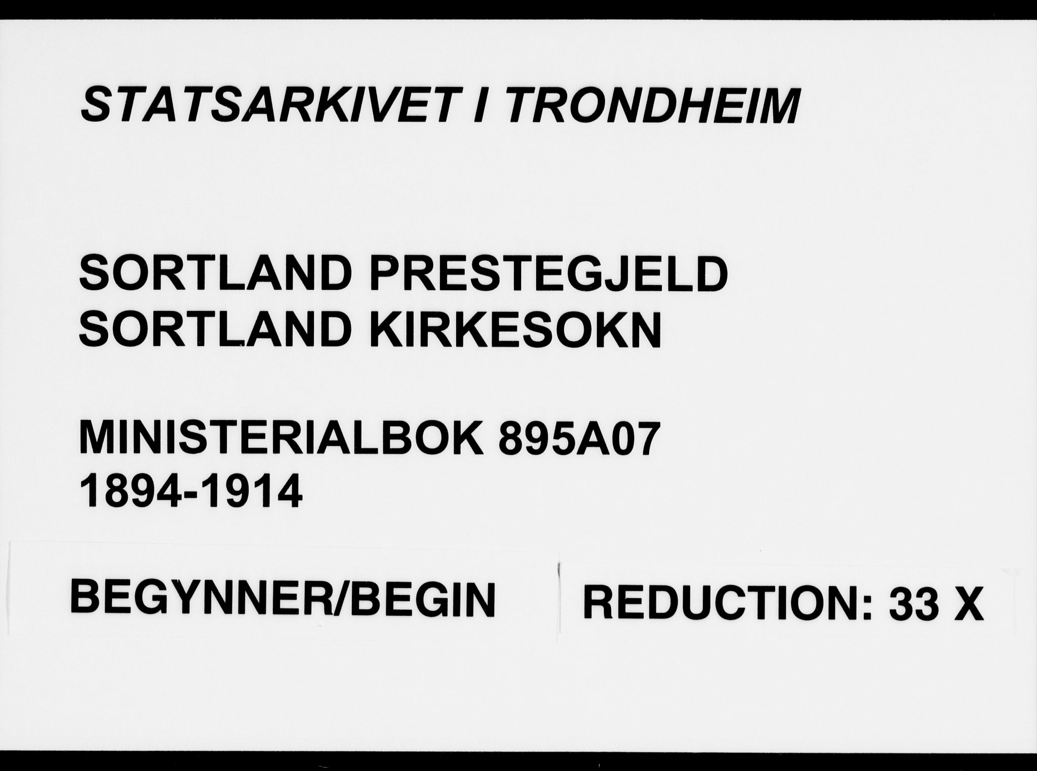 Ministerialprotokoller, klokkerbøker og fødselsregistre - Nordland, AV/SAT-A-1459/895/L1372: Parish register (official) no. 895A07, 1894-1914