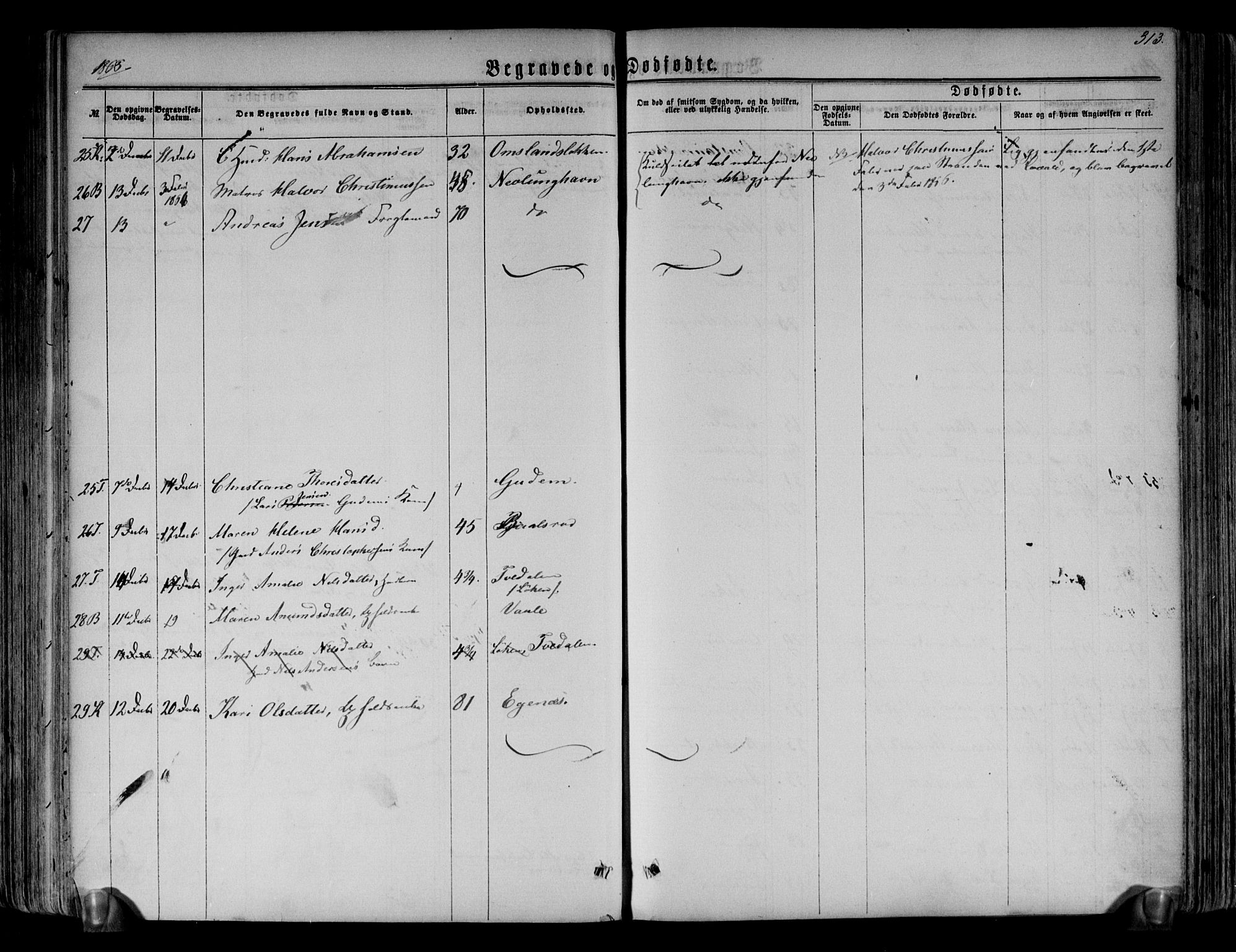 Brunlanes kirkebøker, AV/SAKO-A-342/F/Fa/L0005: Parish register (official) no. I 5, 1862-1877, p. 313