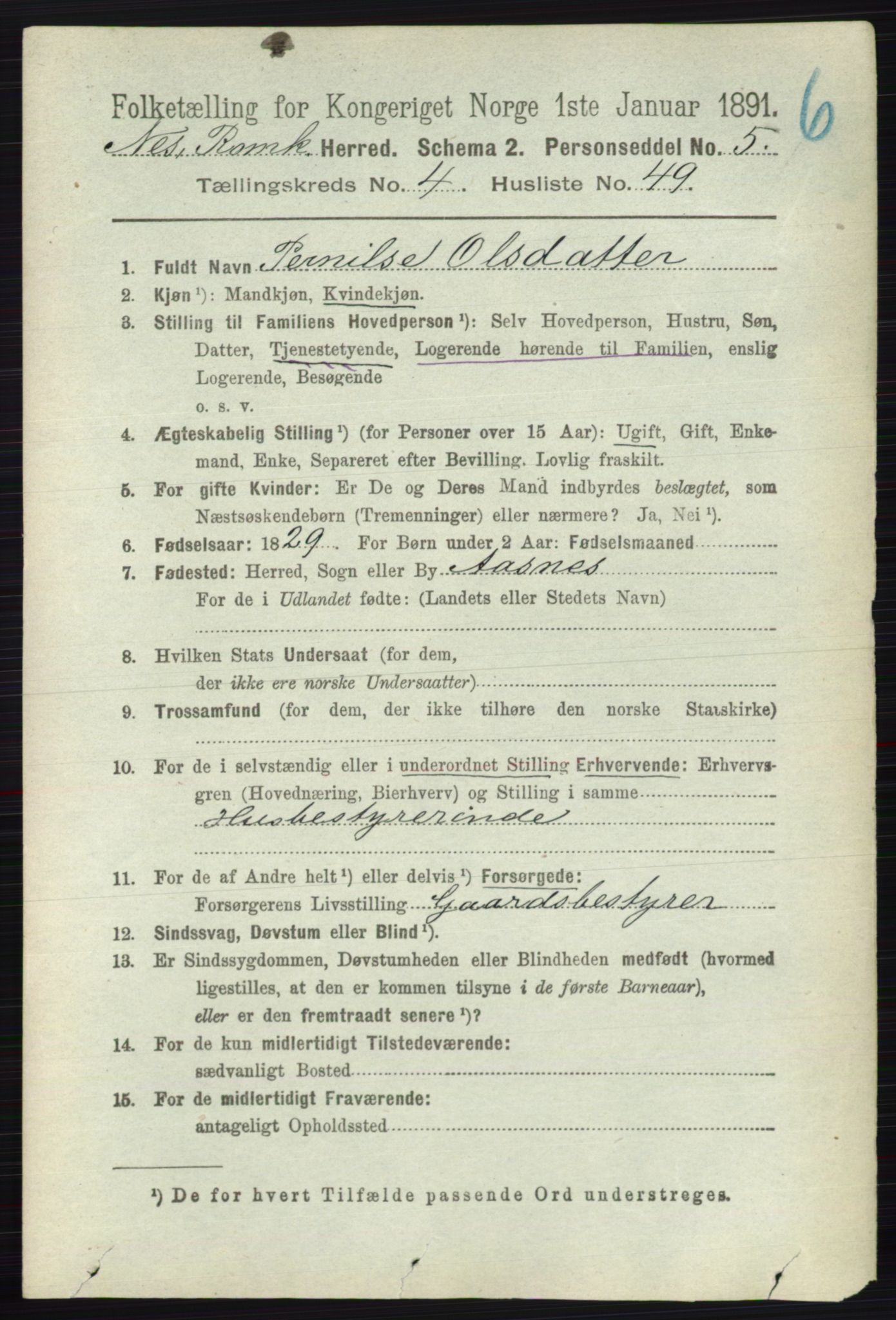 RA, 1891 census for 0236 Nes, 1891, p. 2538