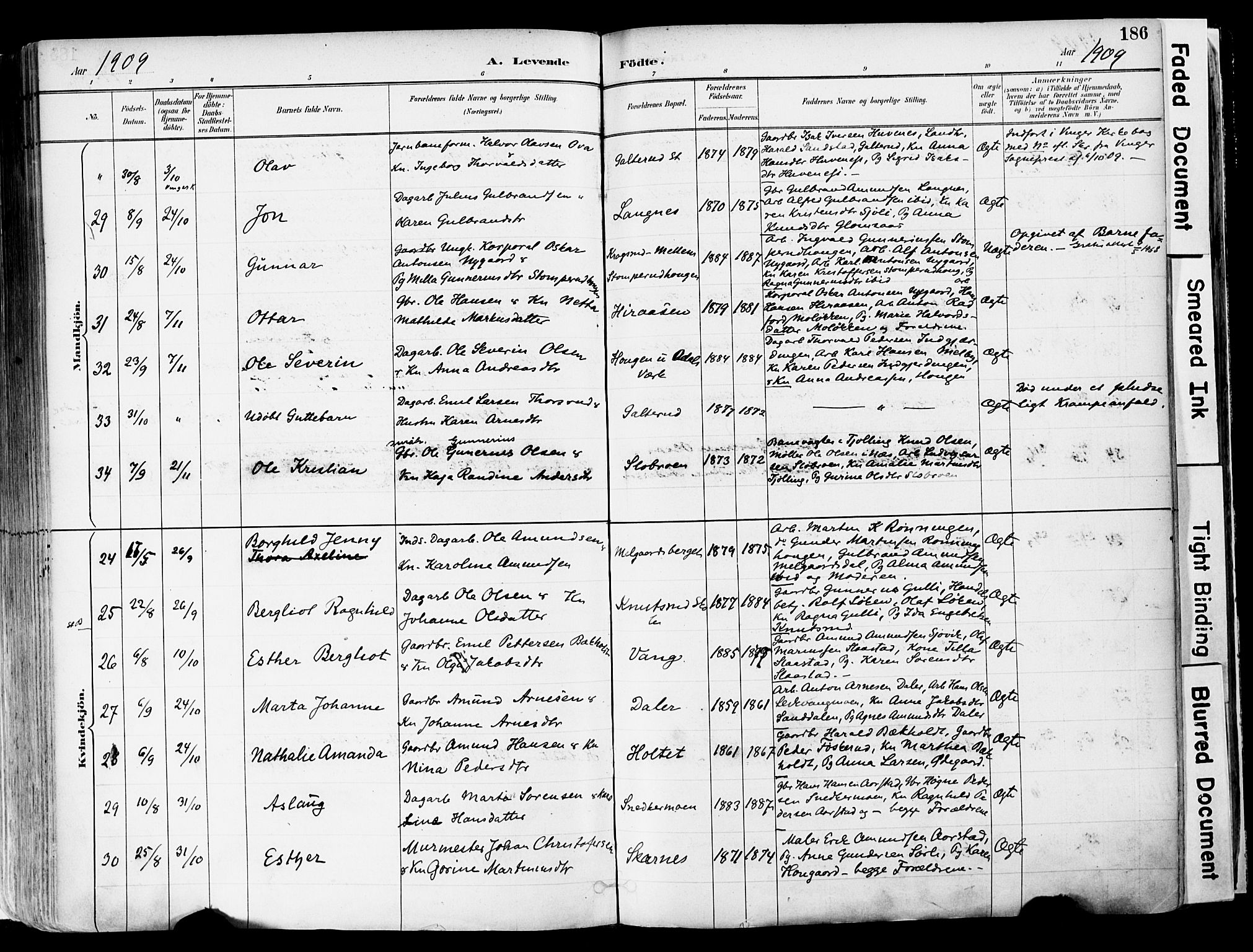 Sør-Odal prestekontor, AV/SAH-PREST-030/H/Ha/Haa/L0006: Parish register (official) no. 6, 1886-1931, p. 186