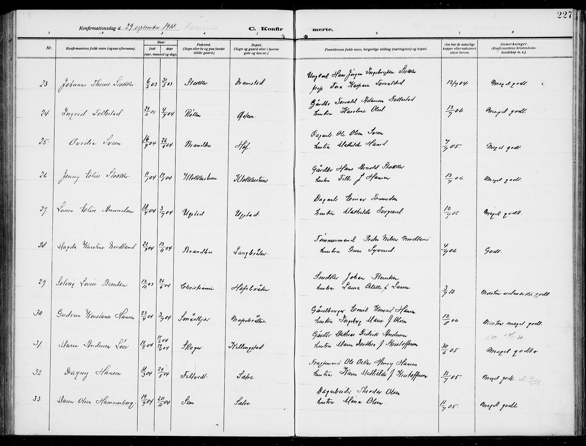 Hurum kirkebøker, AV/SAKO-A-229/F/Fa/L0016: Parish register (official) no. 16, 1899-1918, p. 227