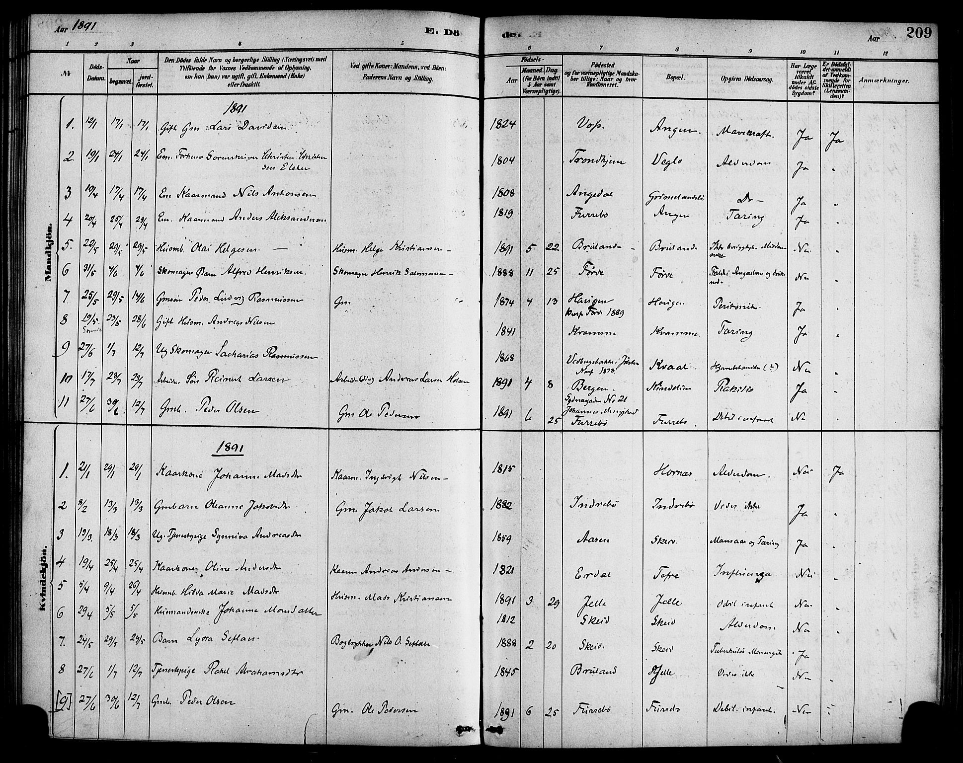Førde sokneprestembete, SAB/A-79901/H/Haa/Haab/L0001: Parish register (official) no. B 1, 1880-1898, p. 209