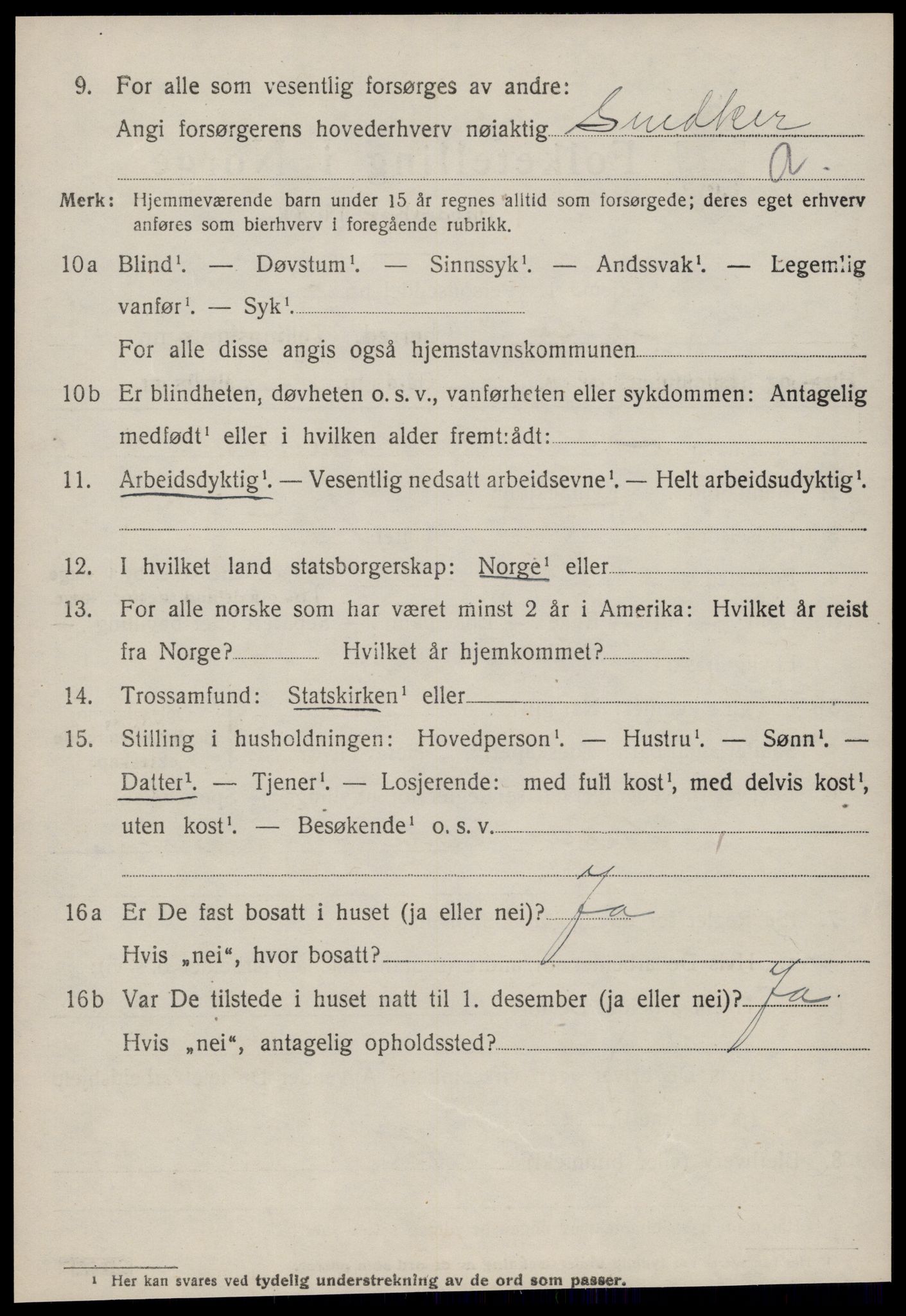 SAT, 1920 census for Bolsøy, 1920, p. 1624