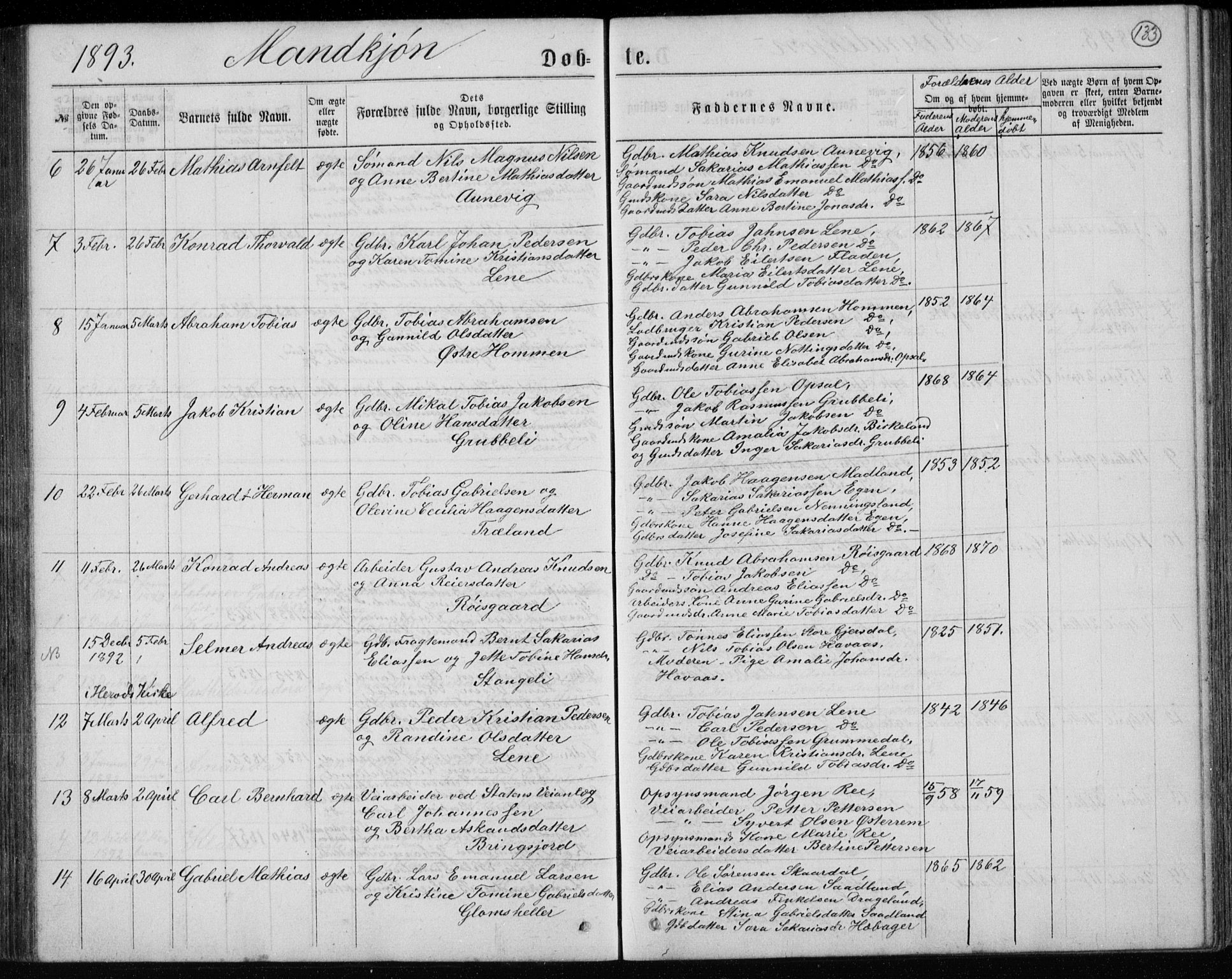 Lyngdal sokneprestkontor, AV/SAK-1111-0029/F/Fb/Fbc/L0004: Parish register (copy) no. B 4, 1878-1896, p. 133